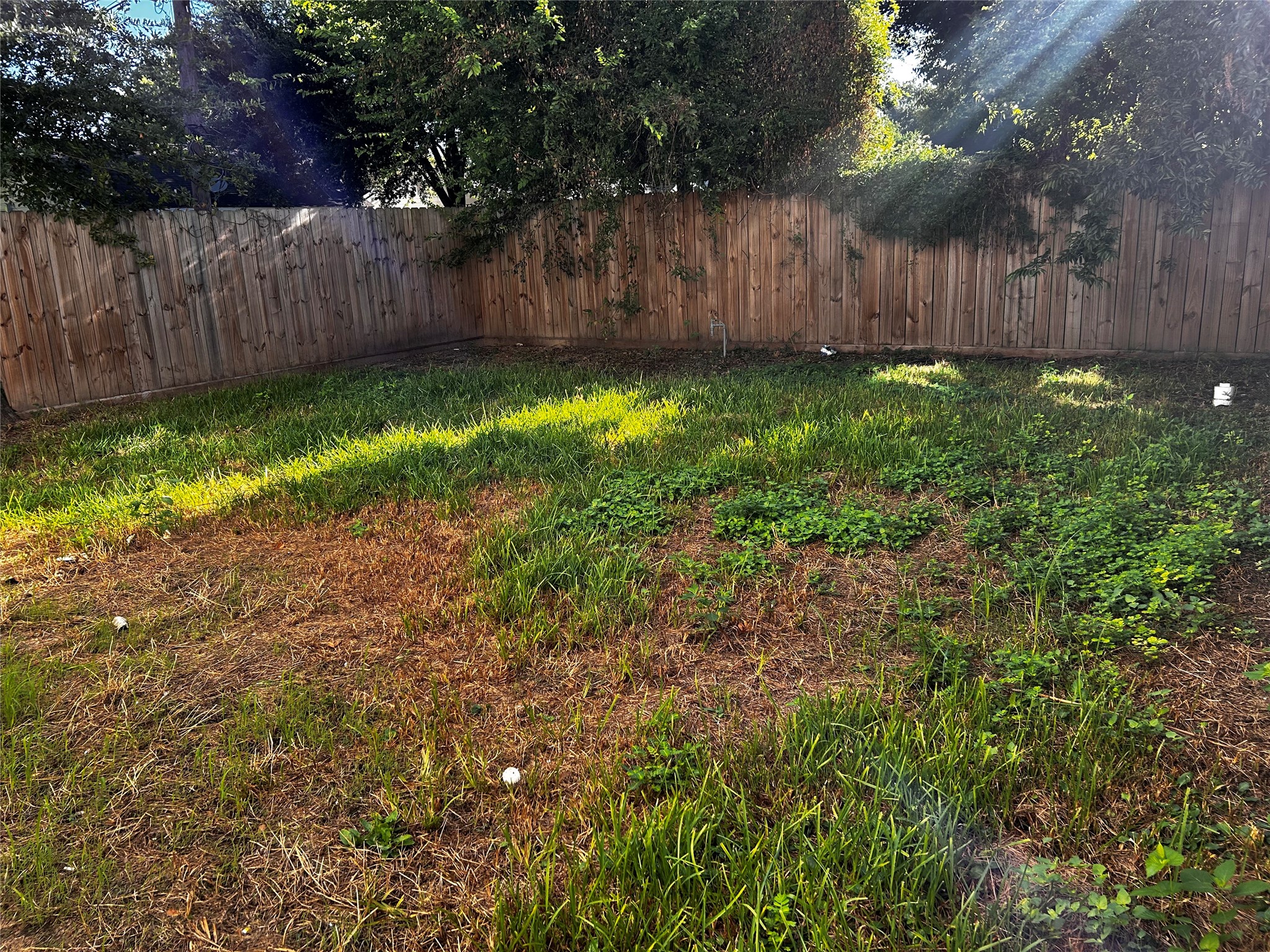 11514 Courtshire Road A Property Photo 6