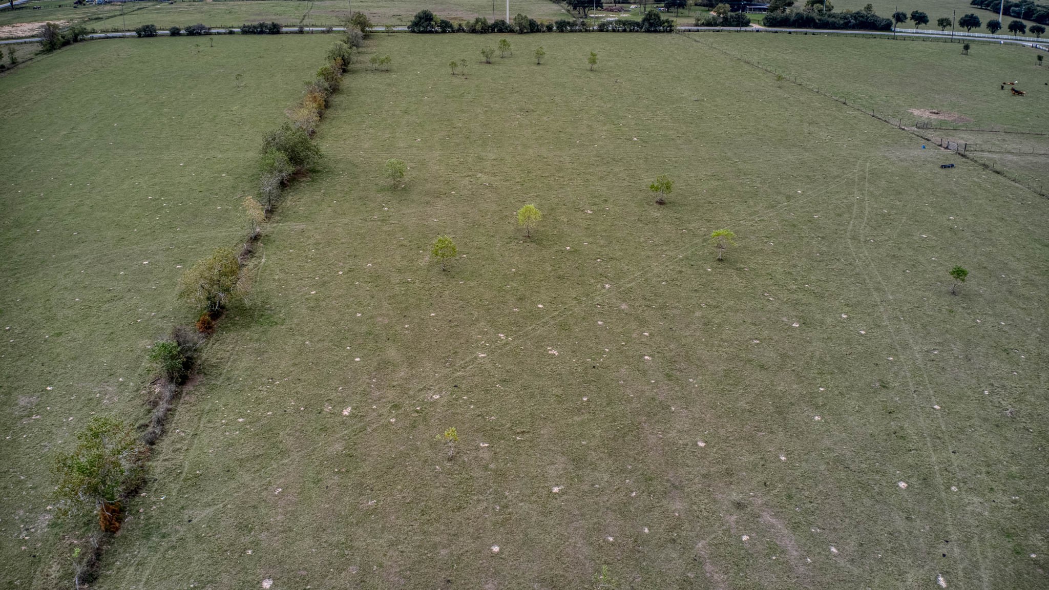 17209 Fm 362 Road Property Photo 9