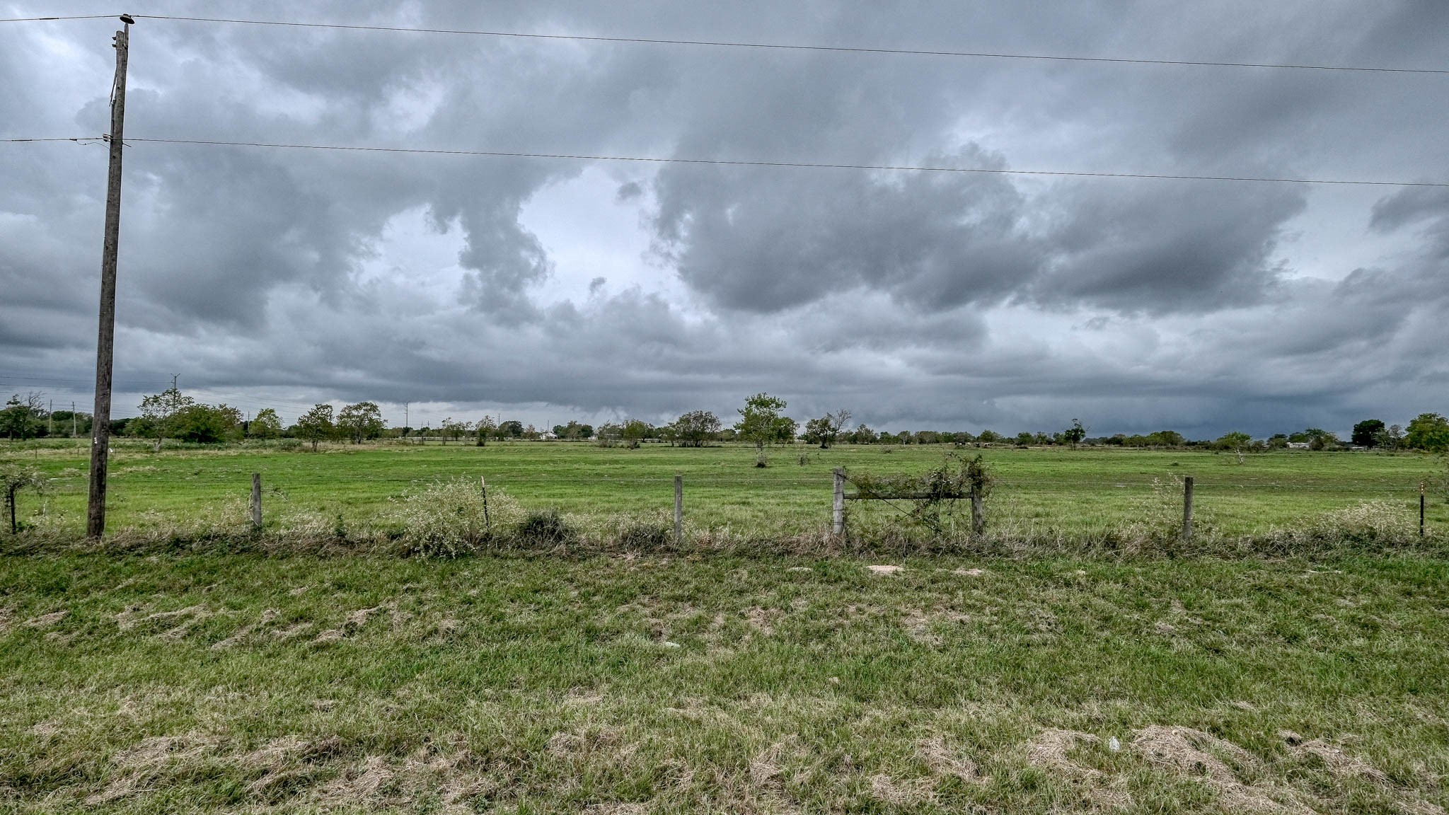 17209 Fm 362 Road Property Photo 10