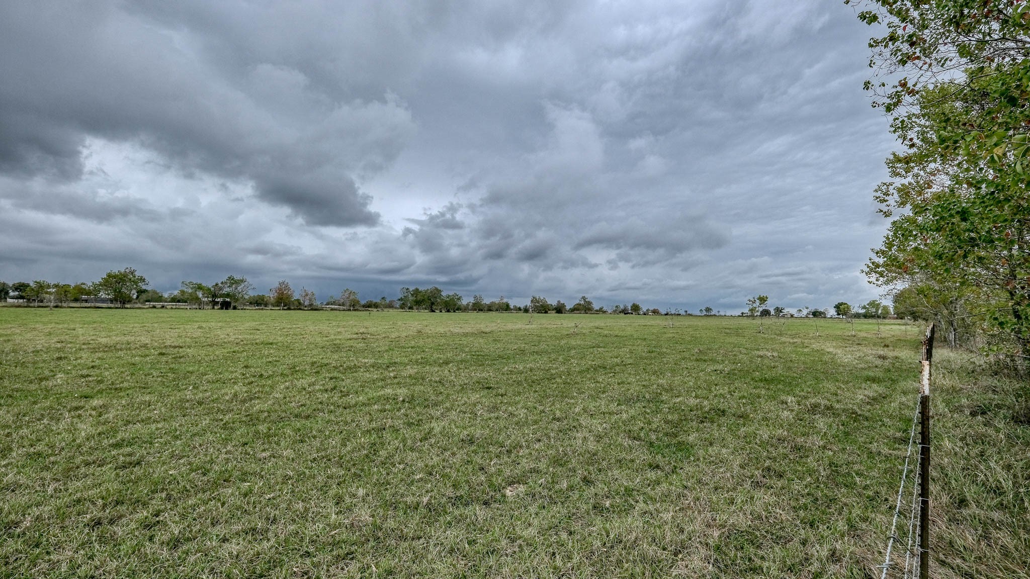 17209 Fm 362 Road Property Photo 11