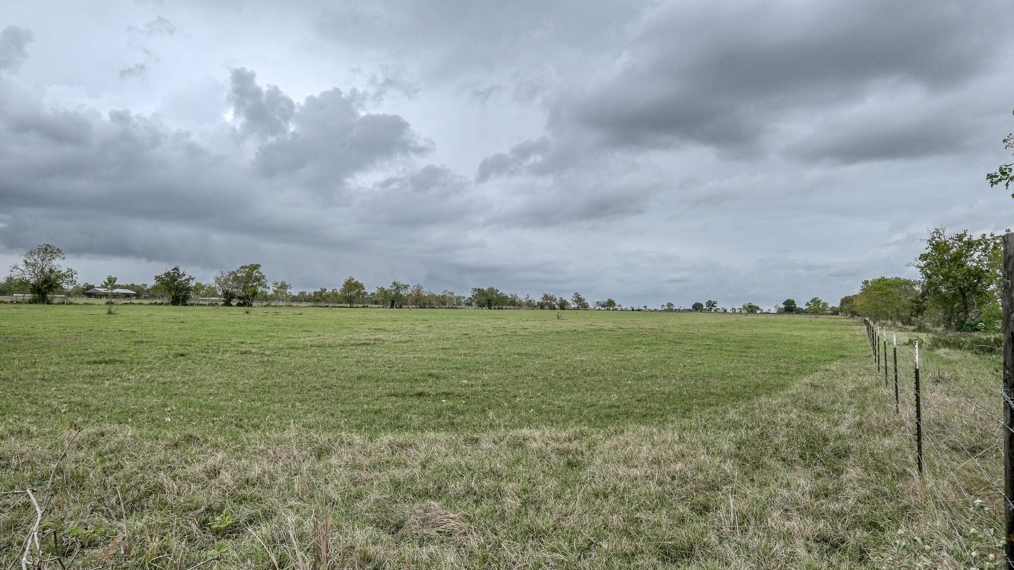 17209 Fm 362 Road Property Photo 12