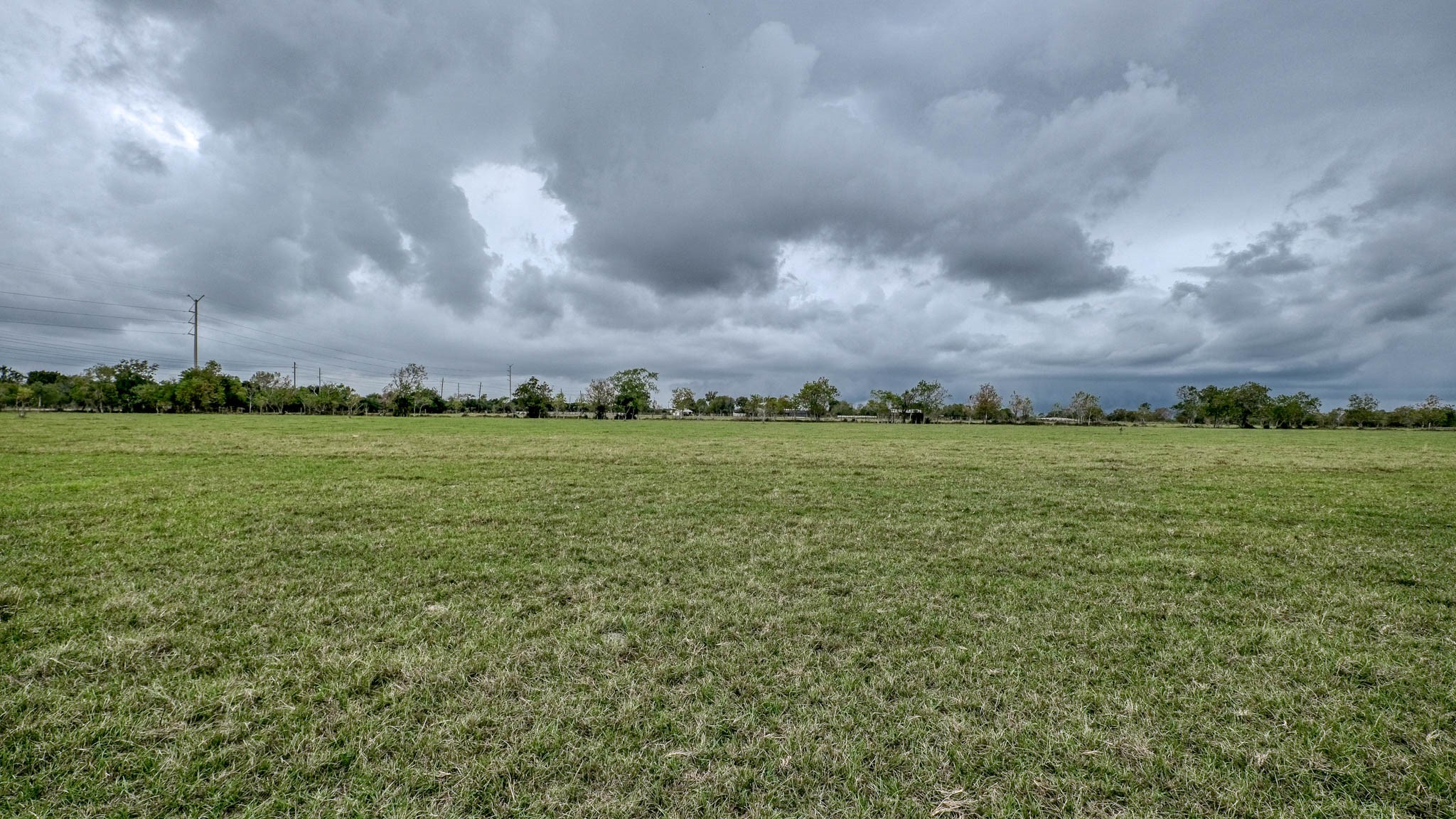 17209 Fm 362 Road Property Photo 13