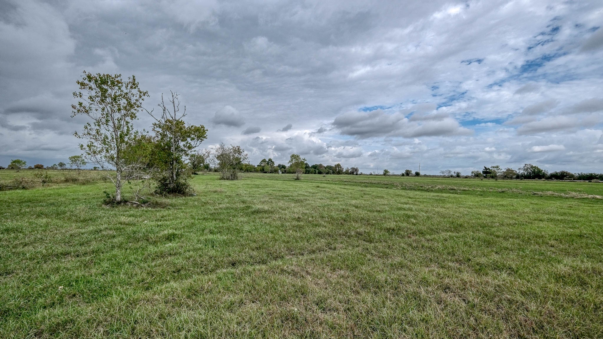 17209 Fm 362 Road Property Photo 14