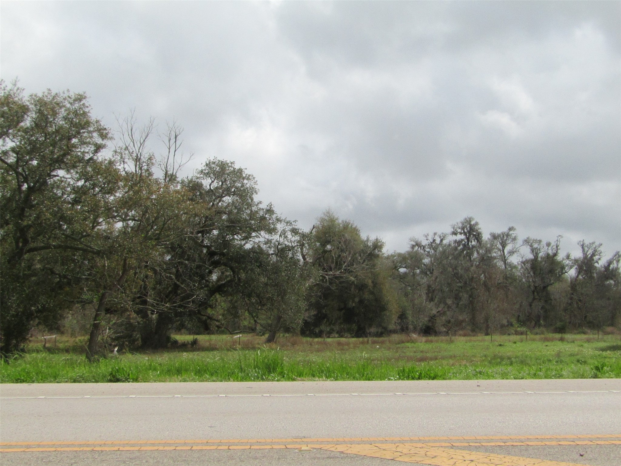 2481 Fm 521 Road Property Photo 1