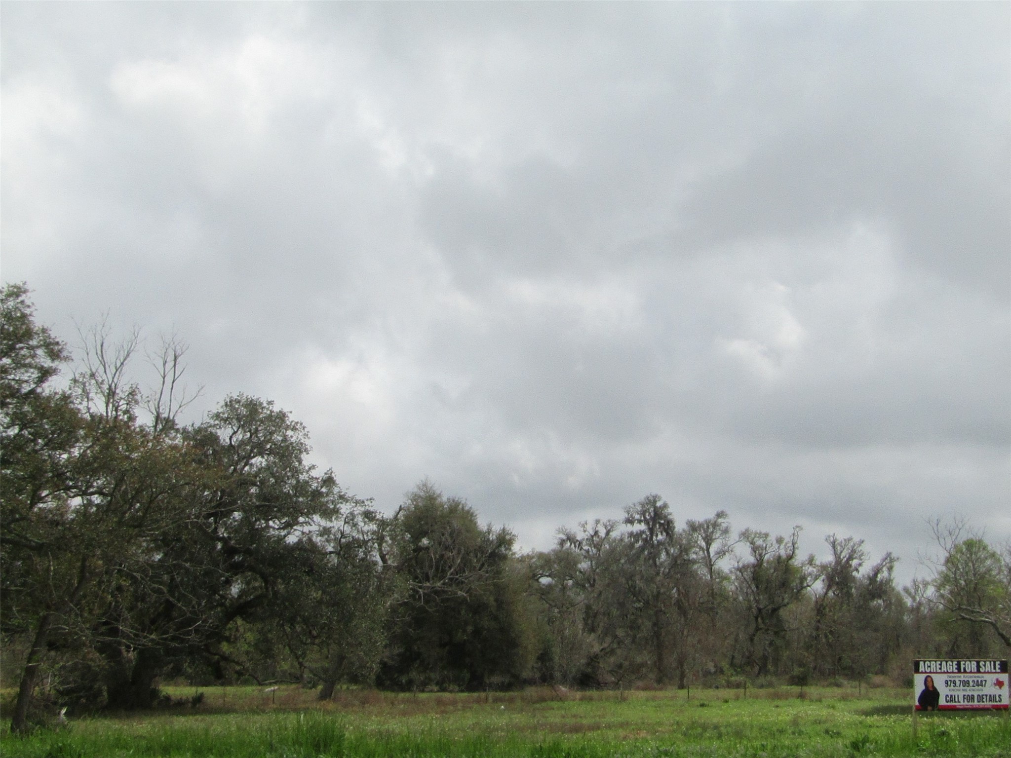 2481 Fm 521 Road Property Photo 2