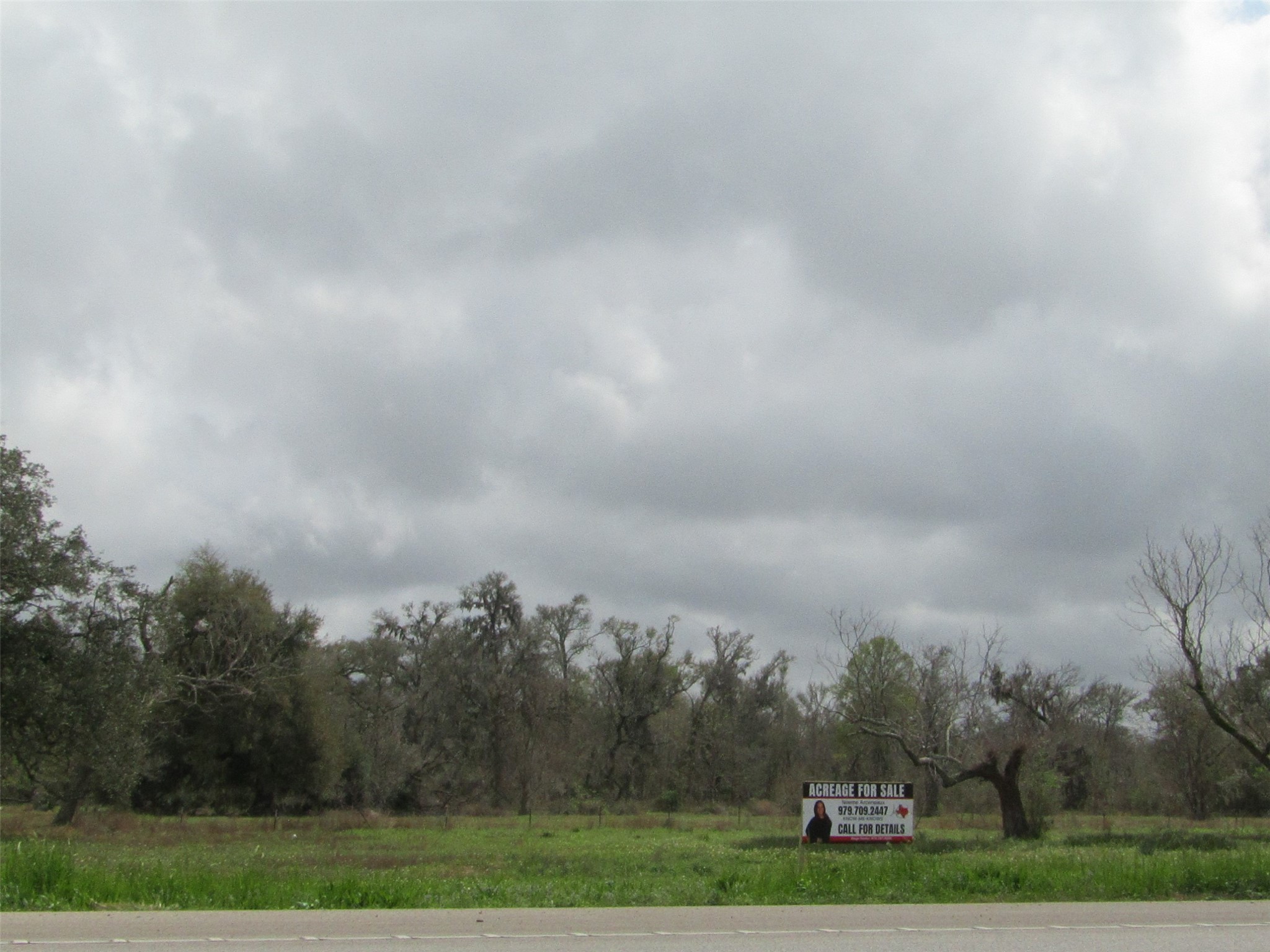 2481 Fm 521 Road Property Photo 3