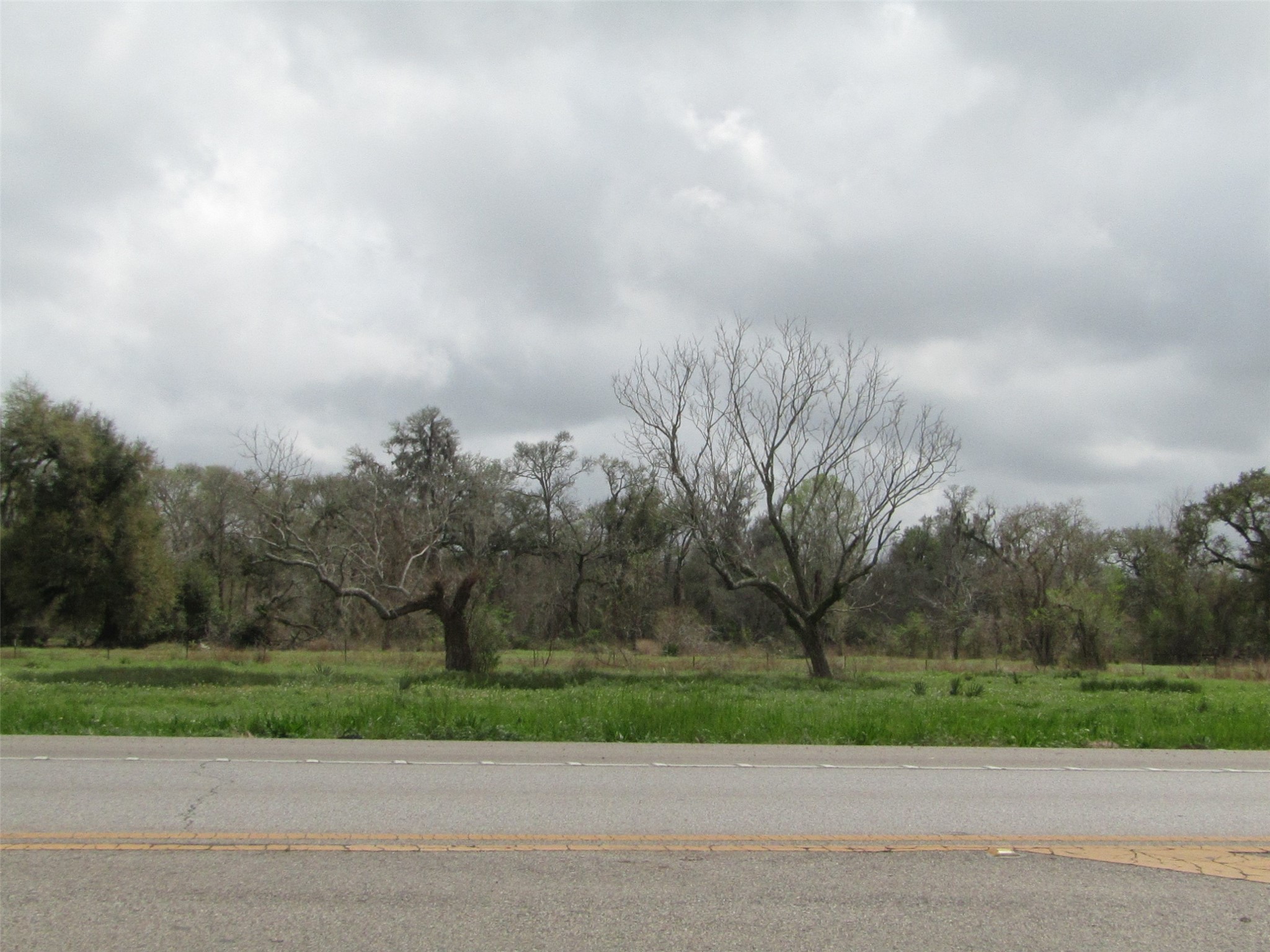 2481 Fm 521 Road Property Photo 4