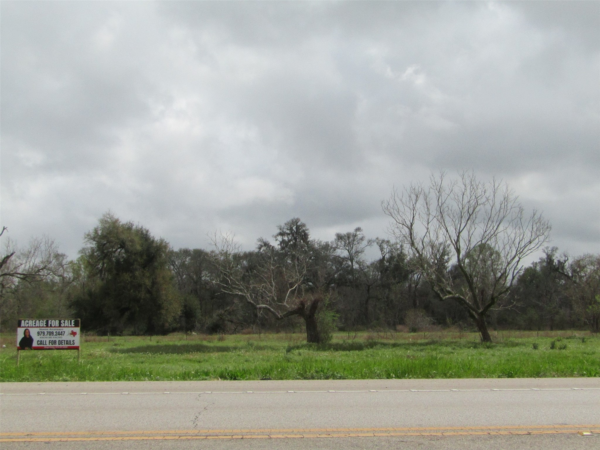 2481 Fm 521 Road Property Photo 5