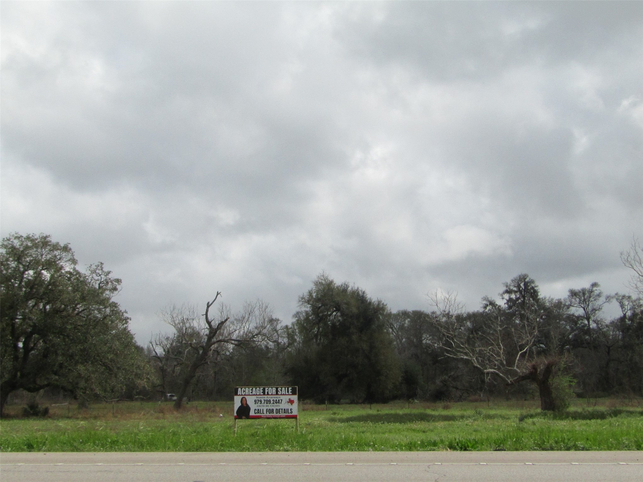 2481 Fm 521 Road Property Photo 6