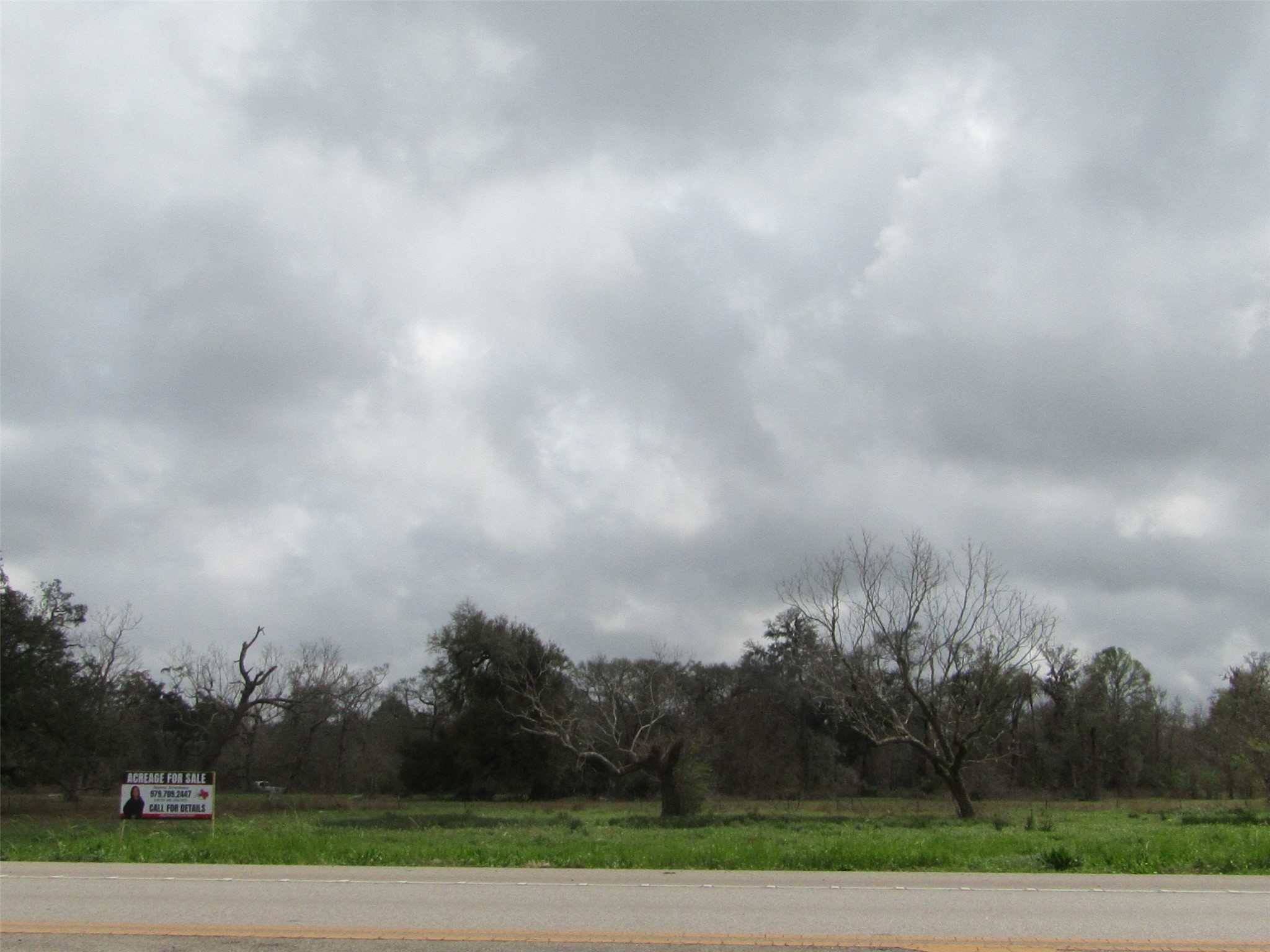 2481 Fm 521 Road Property Photo 8