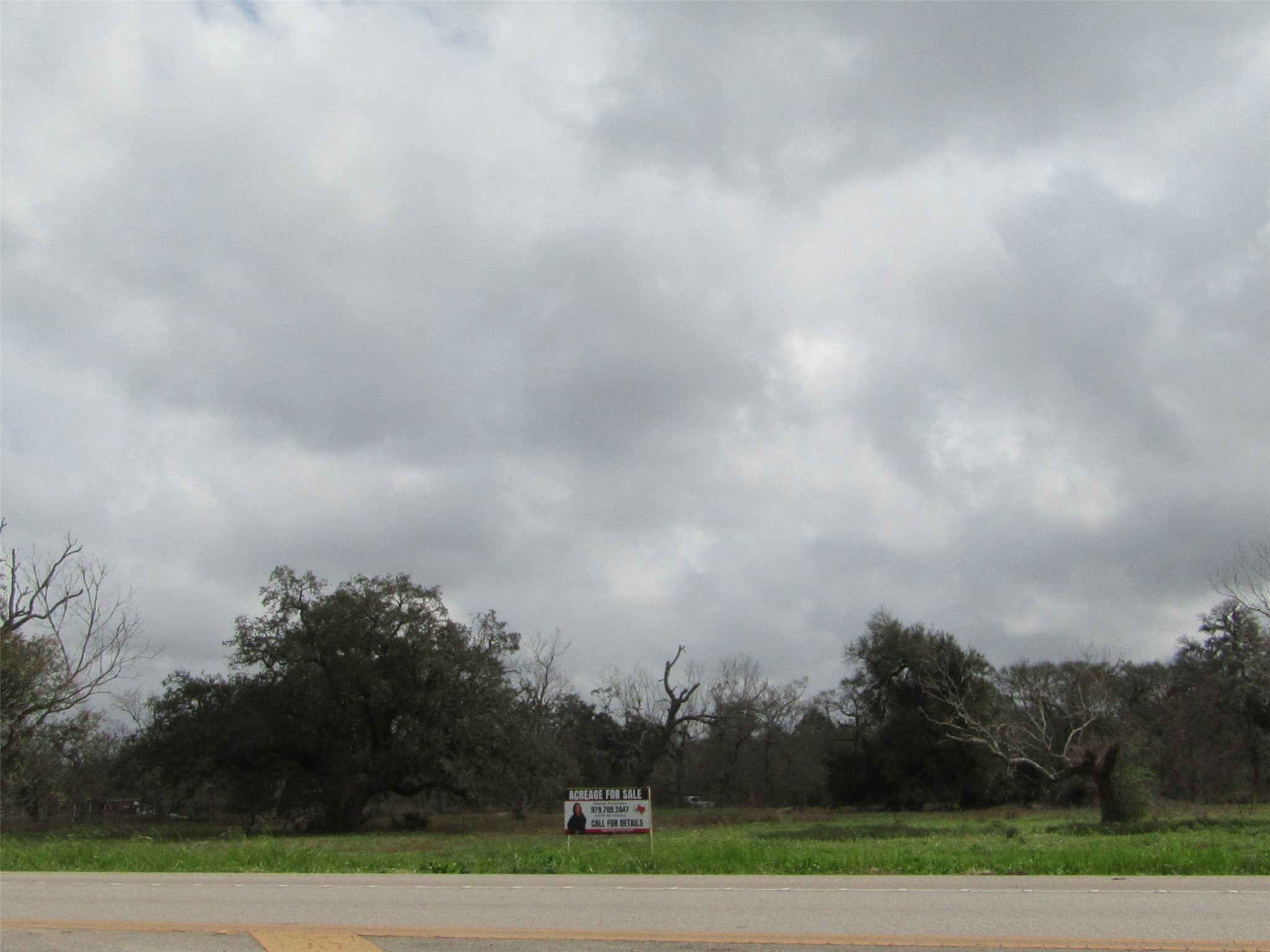 2481 Fm 521 Road Property Photo 9