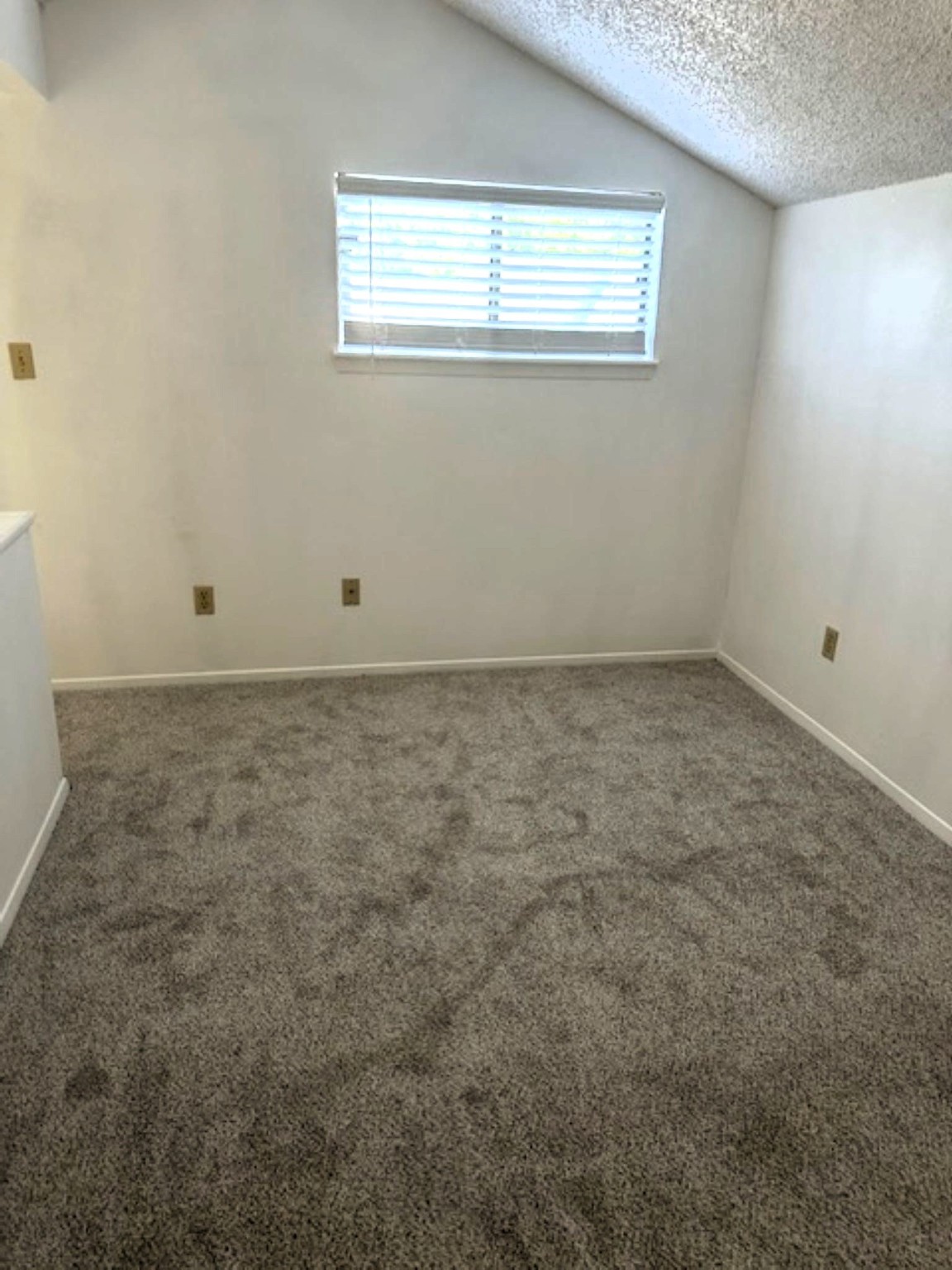 501 Bass Boat Village Lane 210 Property Photo 4