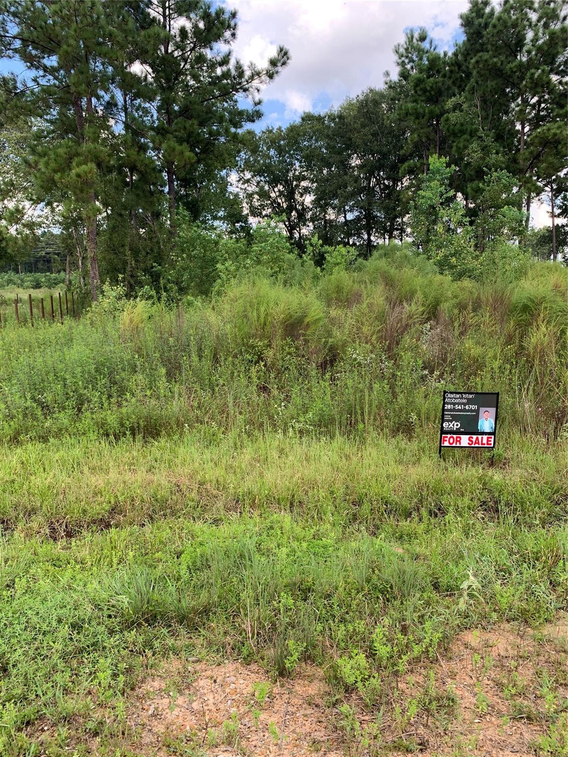 8039 Road 5913, Cleveland TX 77327 Property Photo 1