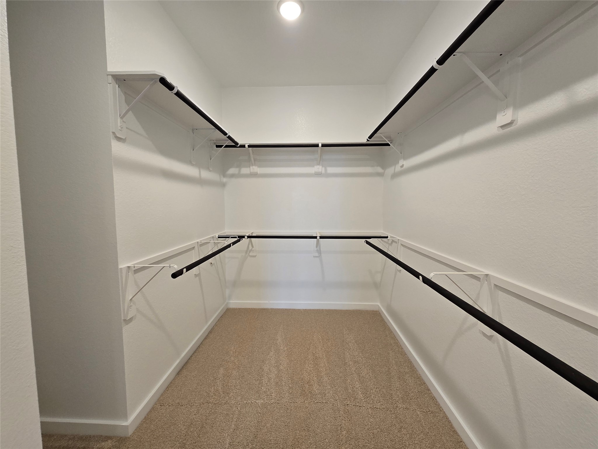 29710 Bur Creek Lane Property Photo 14