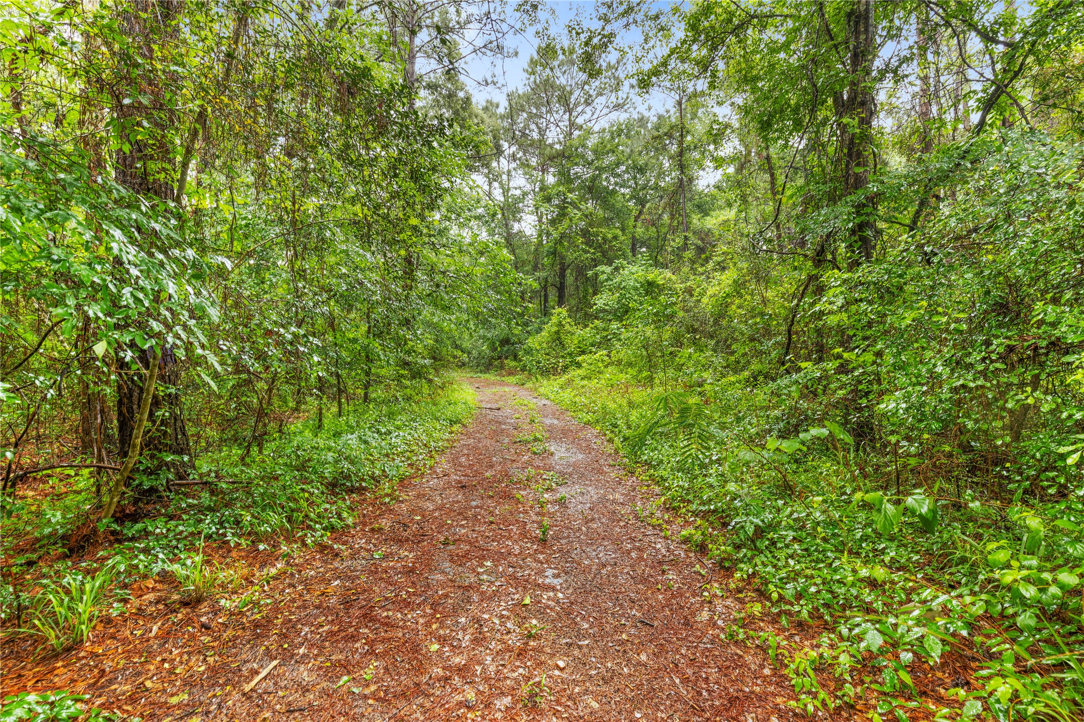 Tbd Whispering Pines Lane Property Photo