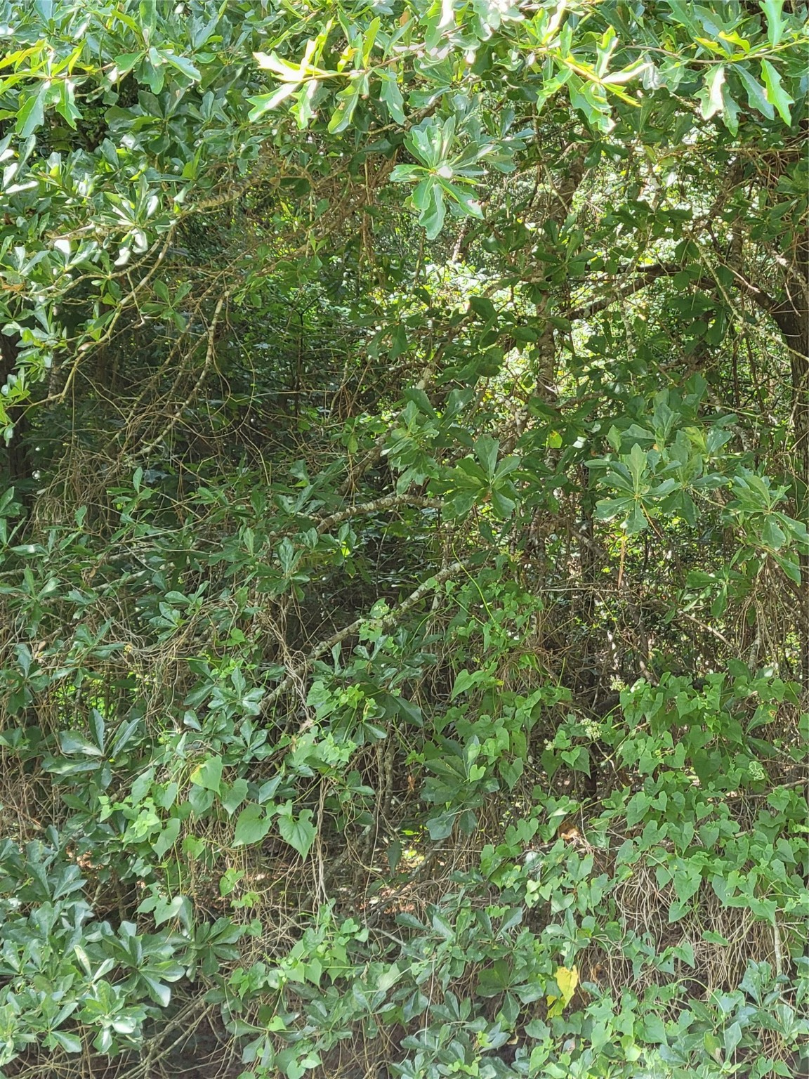 27735 Mid Lane Property Photo 3