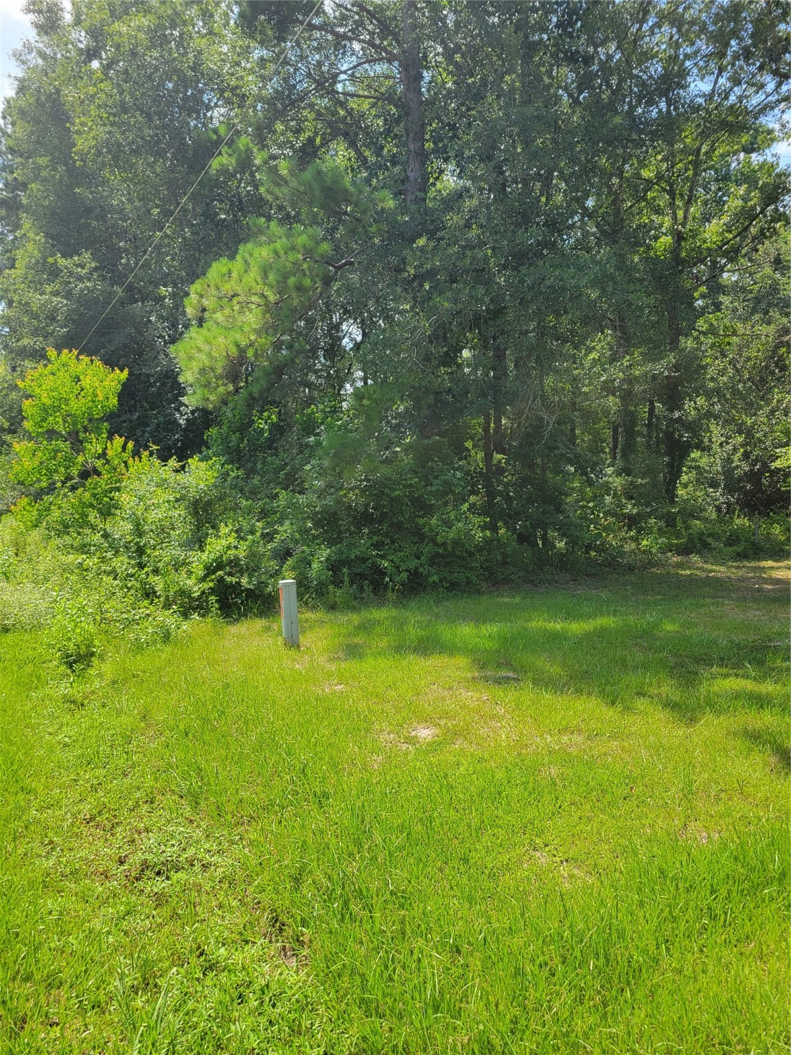 27735 Mid Lane Property Photo 6
