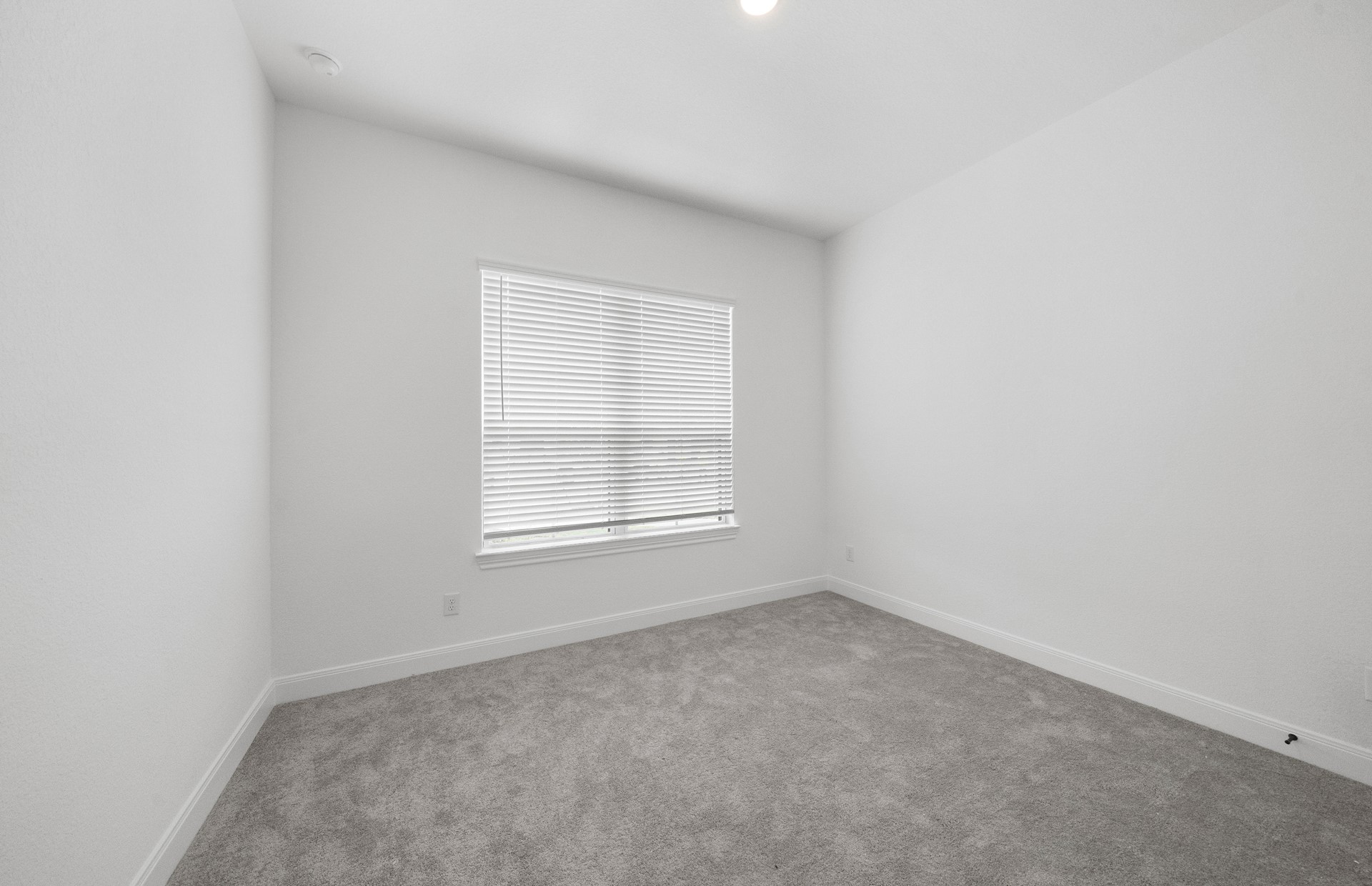 6107 Lush Pasture Lane Property Photo 10