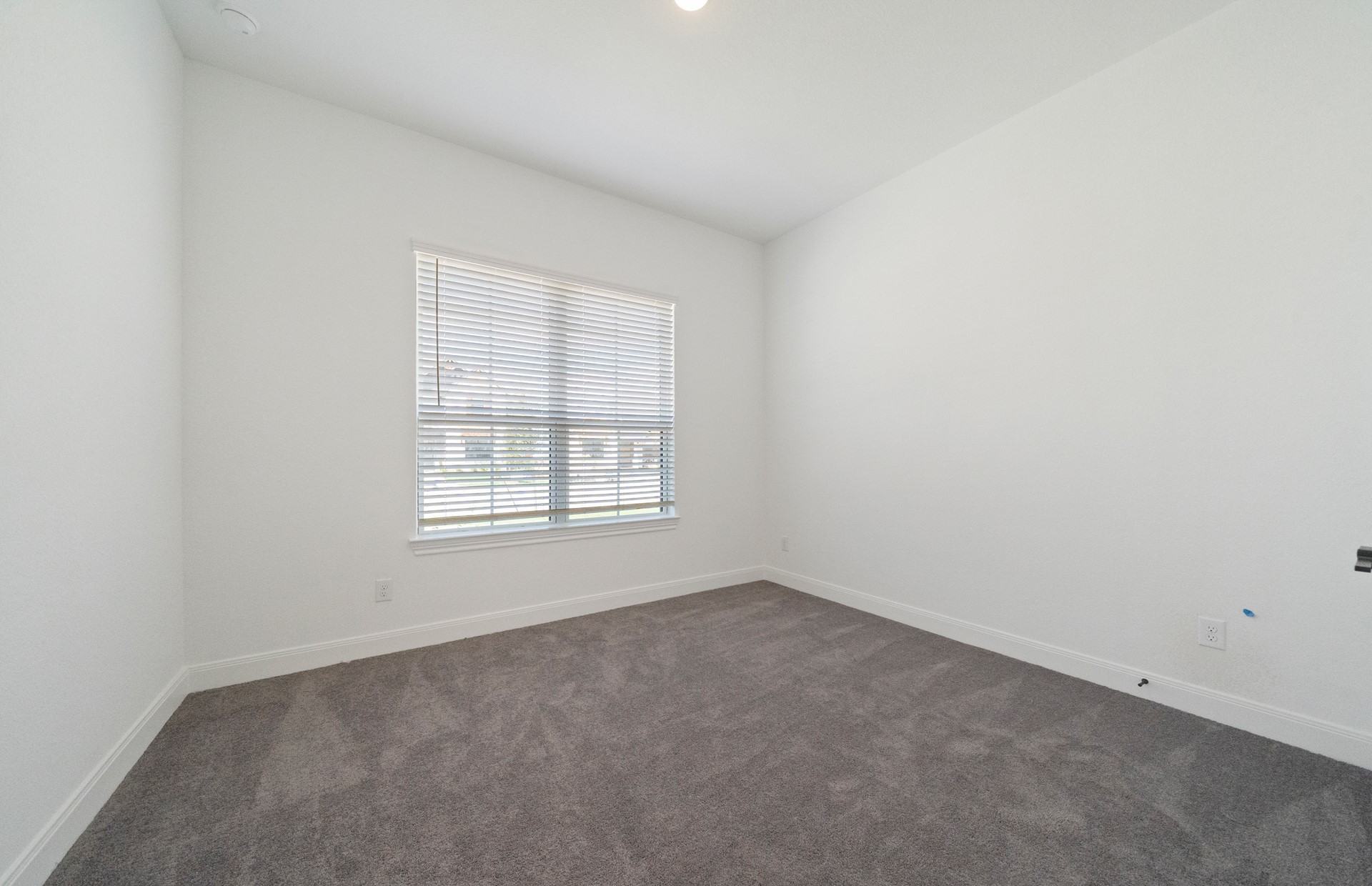 6107 Lush Pasture Lane Property Photo 15