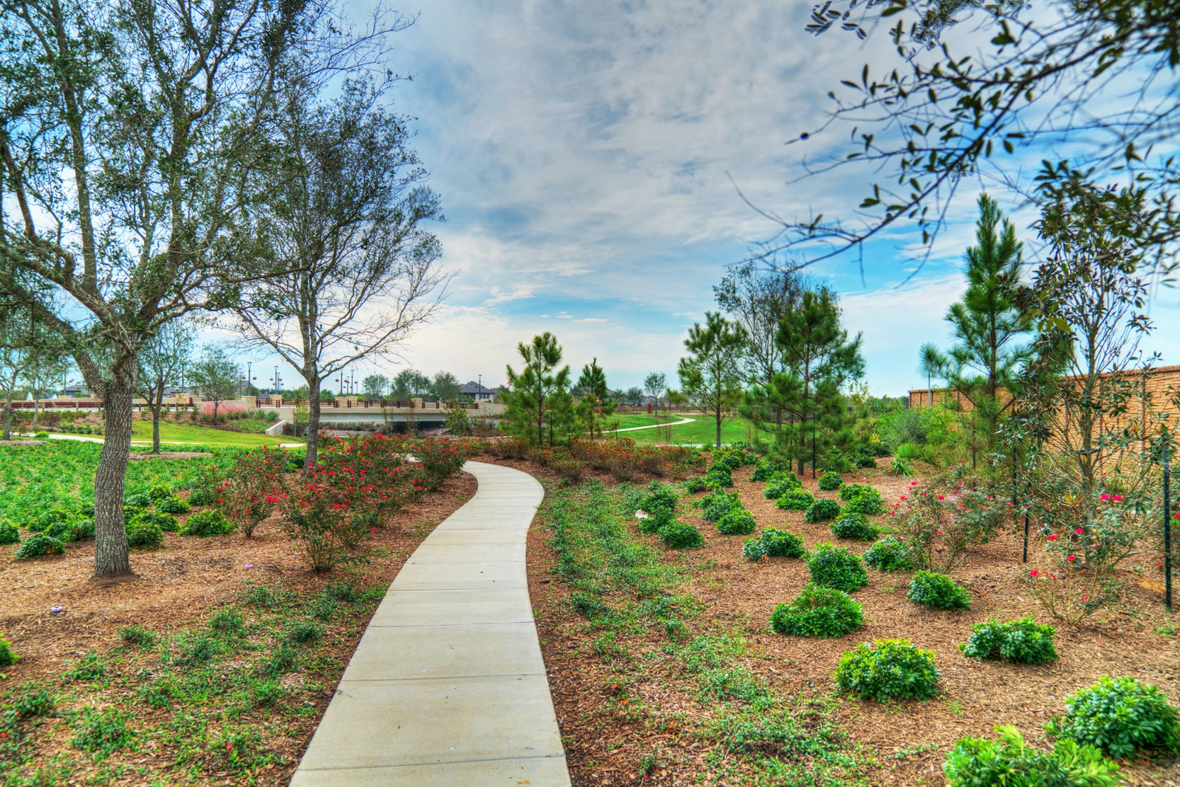 6442 Mahogany Branch Trail Property Photo 45