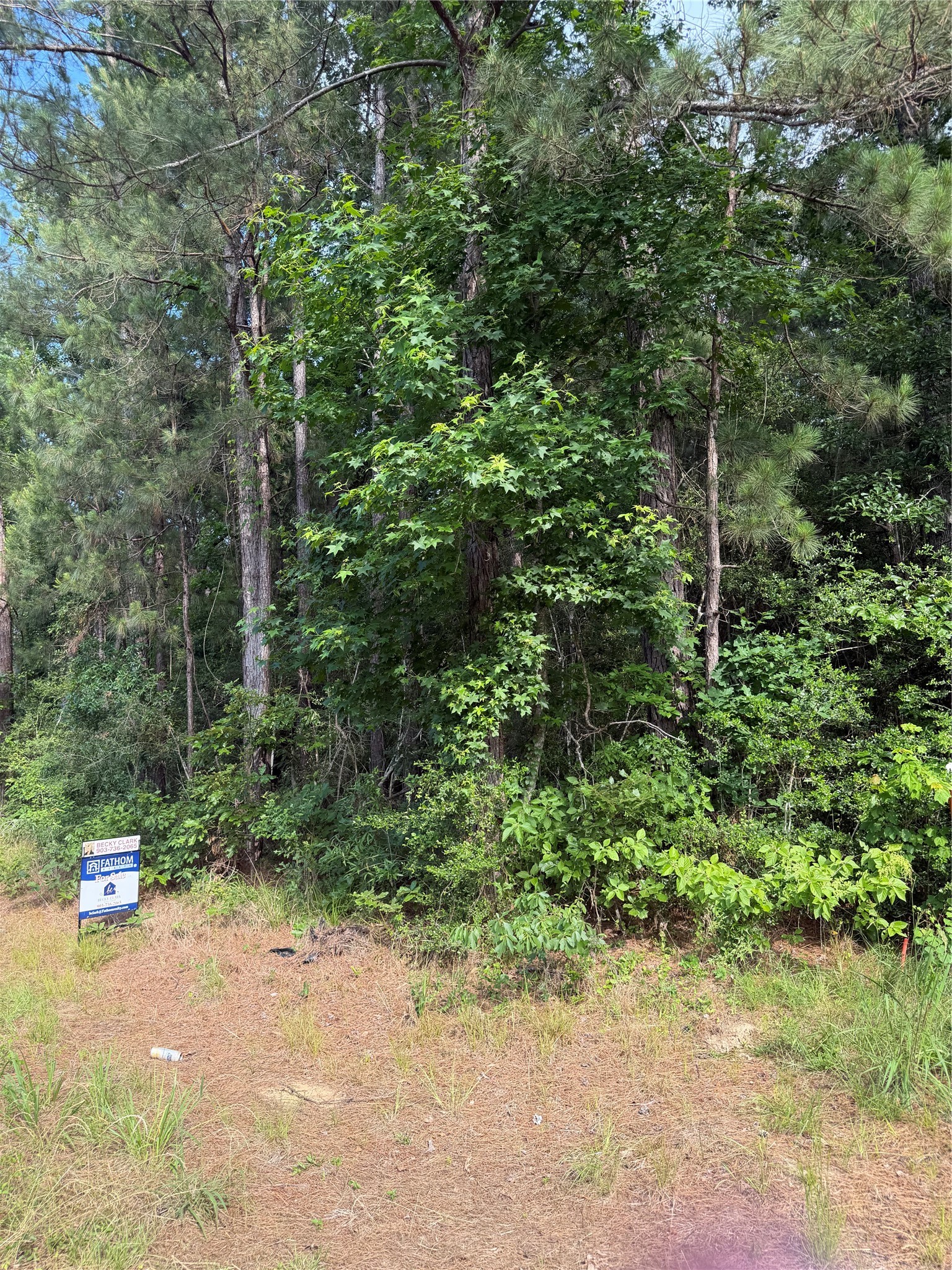 Tbd Fm 1127 Road Property Photo 7