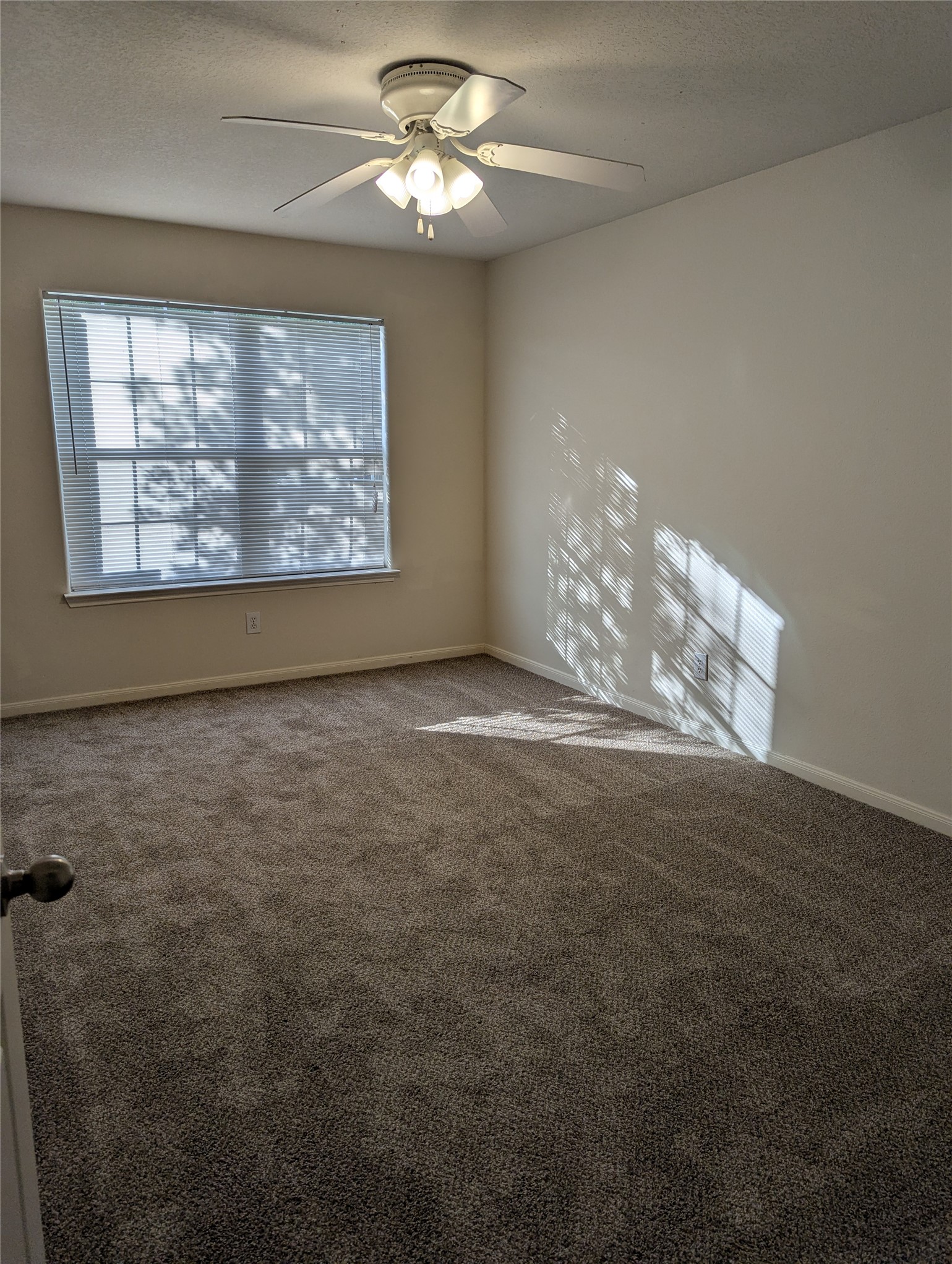 3919 Hollow Cove Lane Property Photo 15
