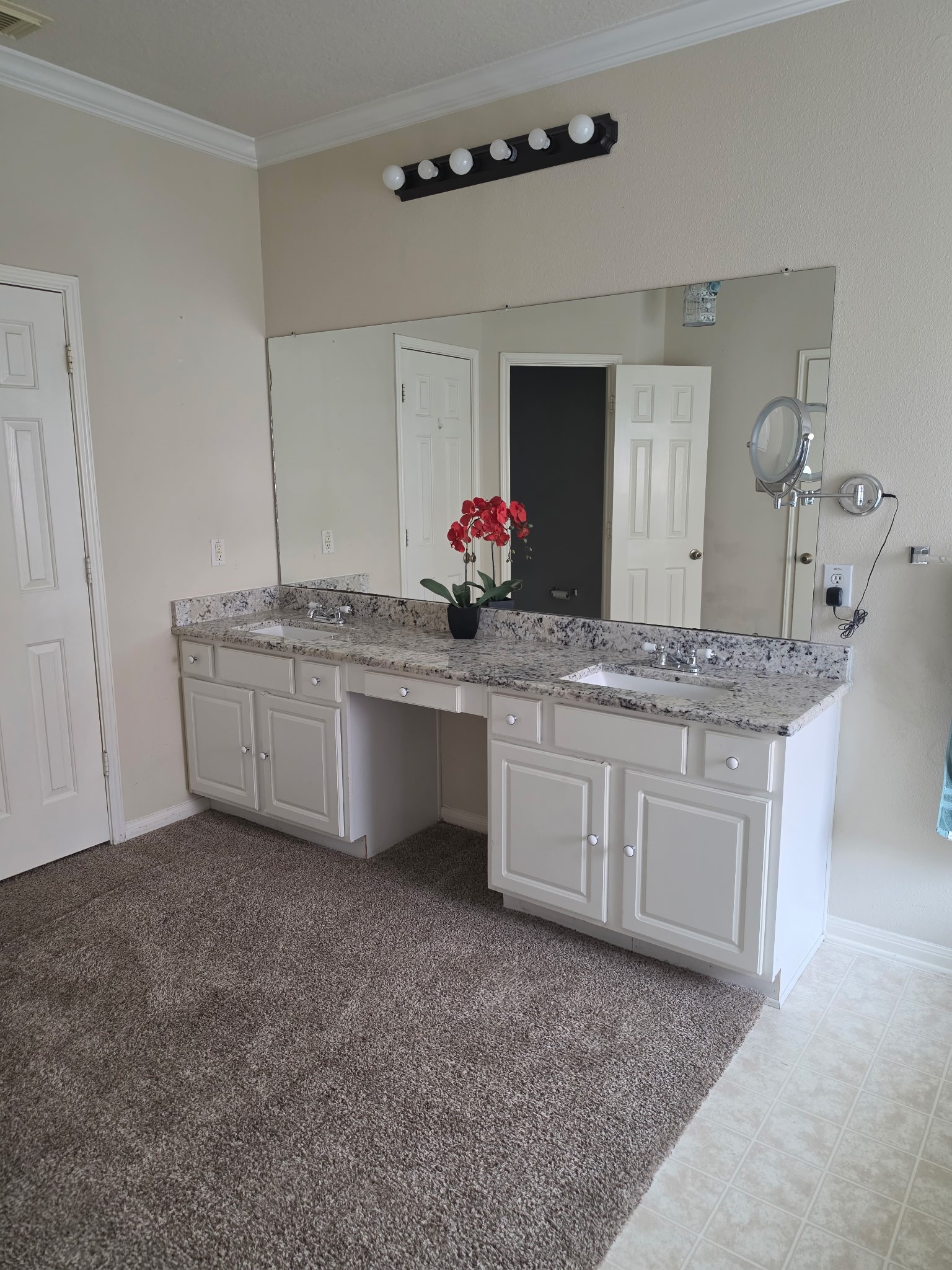 27114 Sunset Pines Drive Property Photo 5