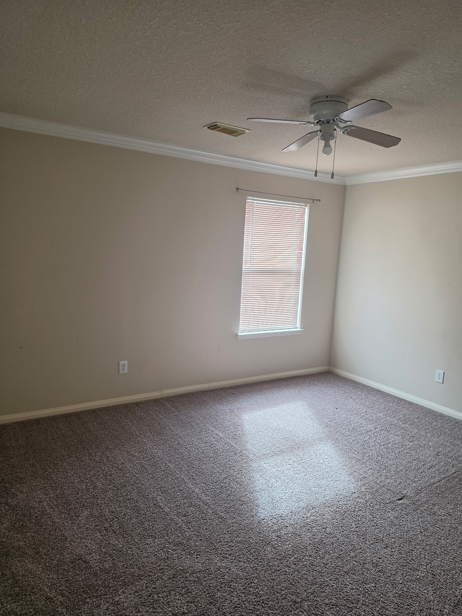 27114 Sunset Pines Drive Property Photo 7