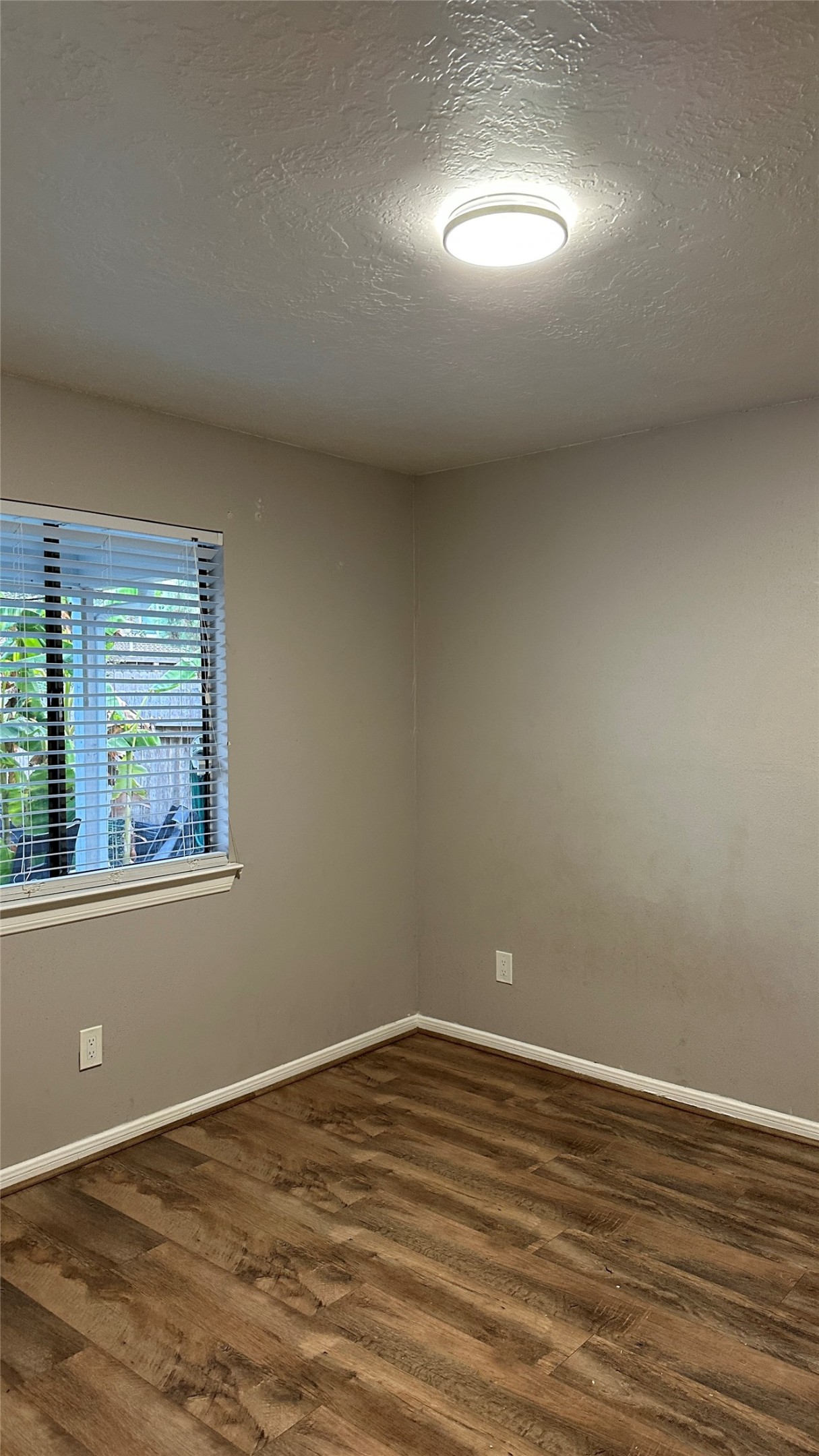 17411 Chicory Drive Property Photo 11