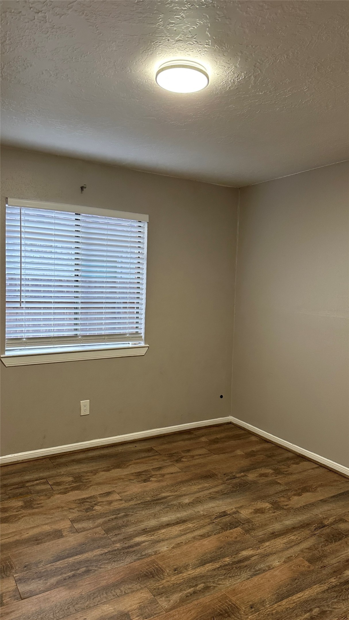 17411 Chicory Drive Property Photo 12