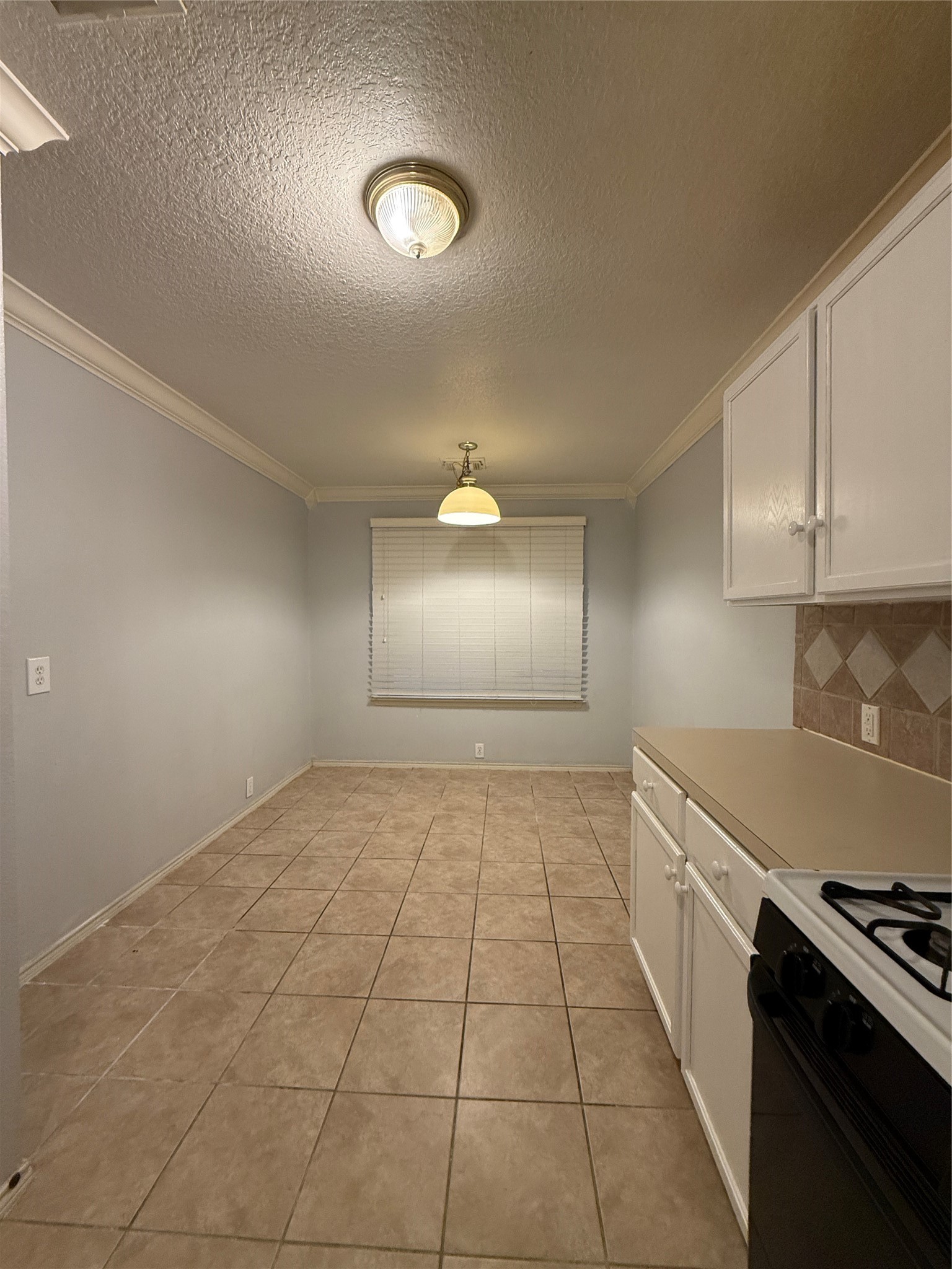 19134 Broadwind Lane Property Photo 9