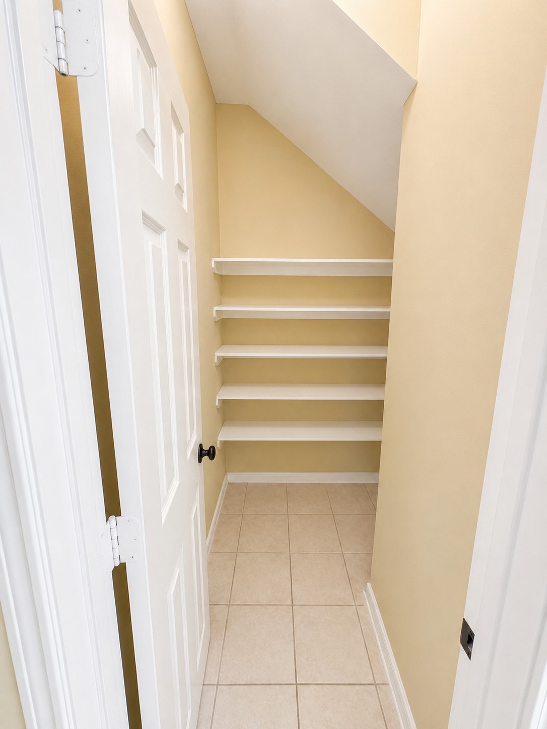 134 N Camellia Grove Circle Property Photo 12