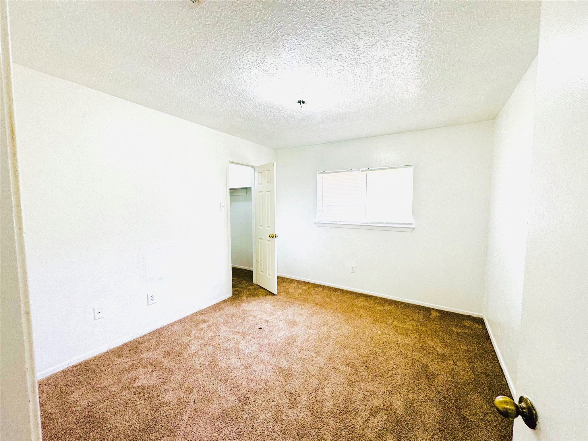 1803 Ripple Creek Drive Property Photo 17