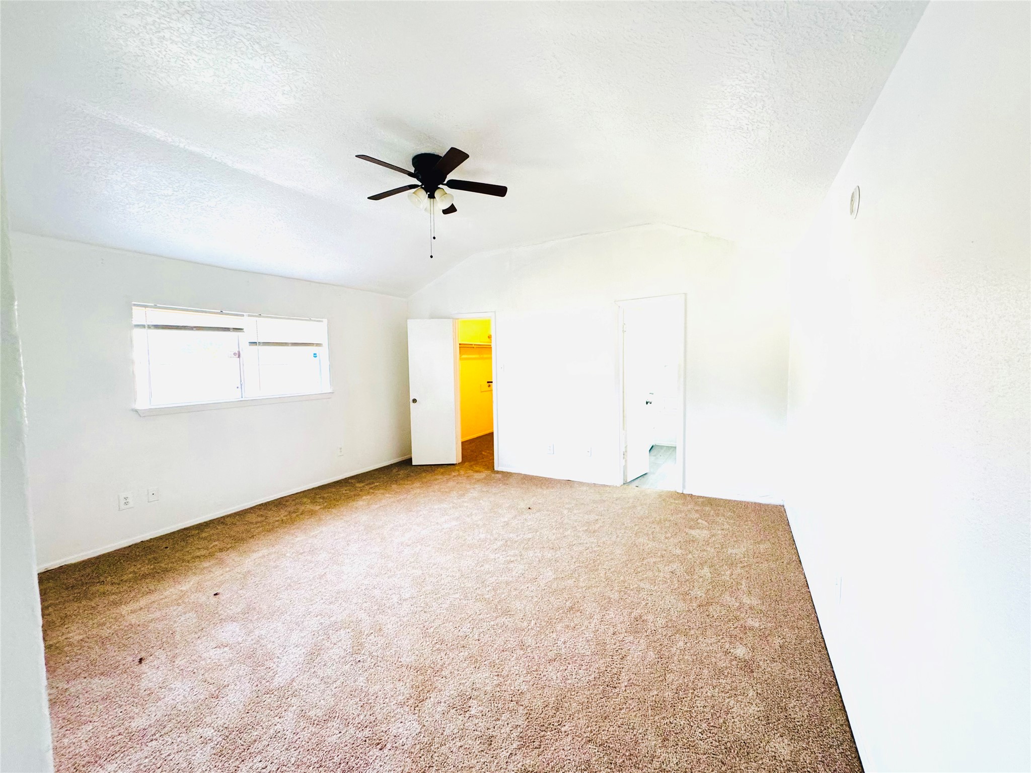 1803 Ripple Creek Drive Property Photo 22