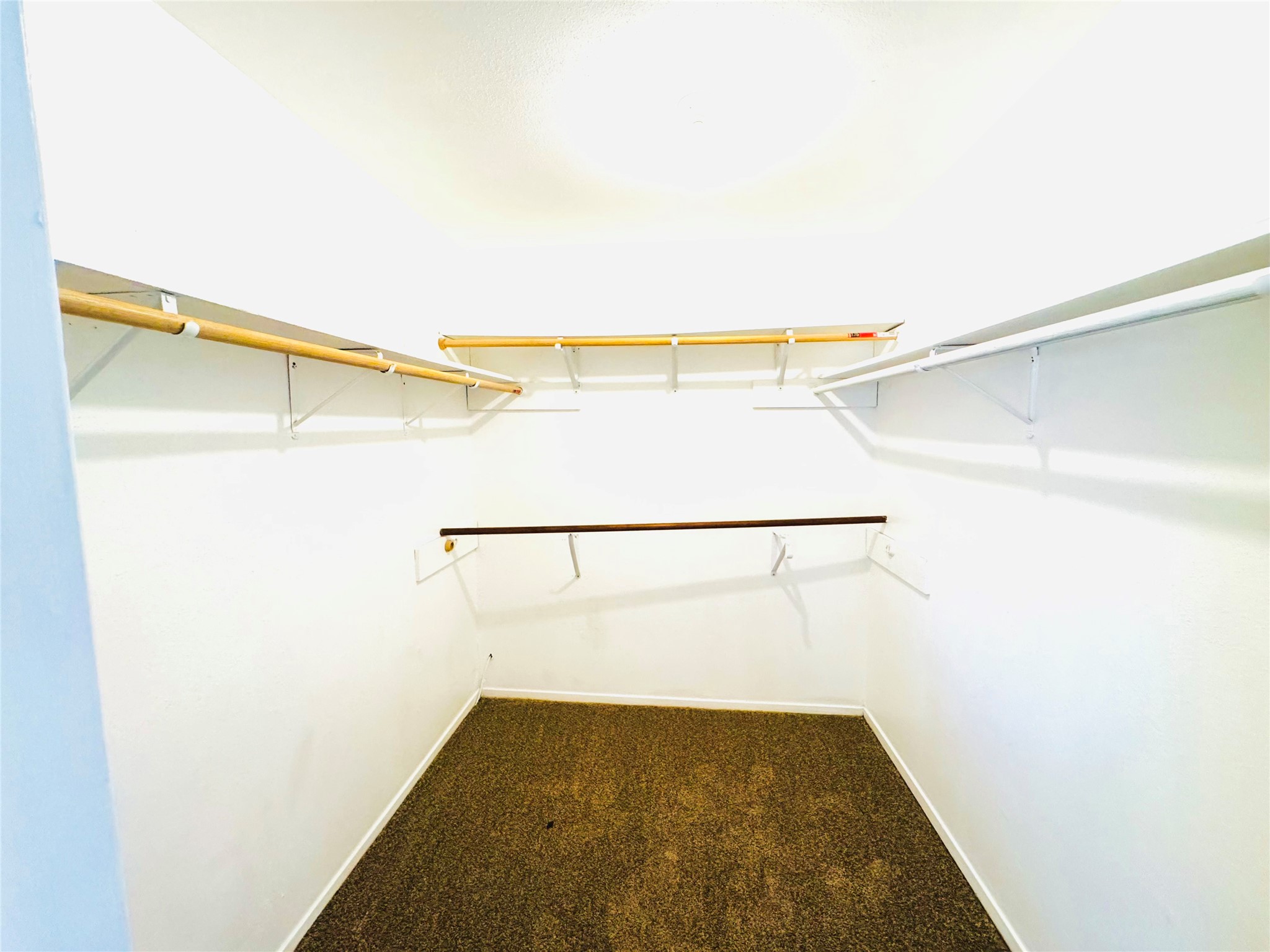 1803 Ripple Creek Drive Property Photo 24