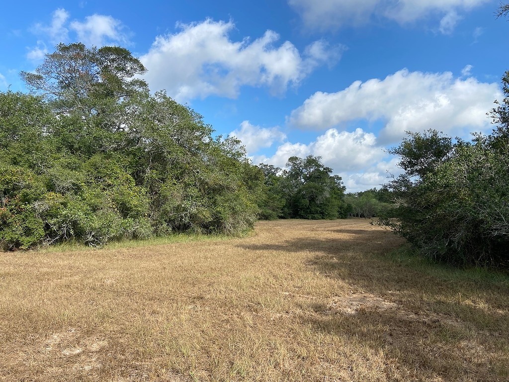 Tbd Loose Cow Road Property Photo 1