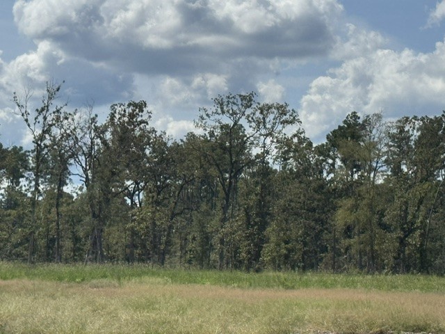 1018 Gibson Lane Property Photo 3
