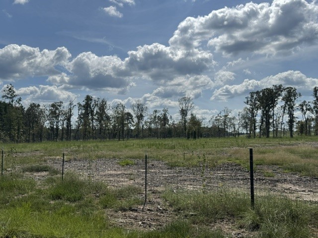 1018 Gibson Lane Property Photo 8
