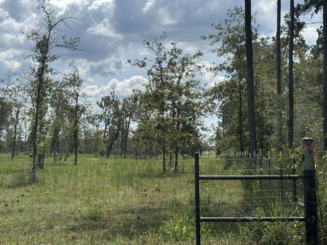 1018 Gibson Lane Property Photo 10