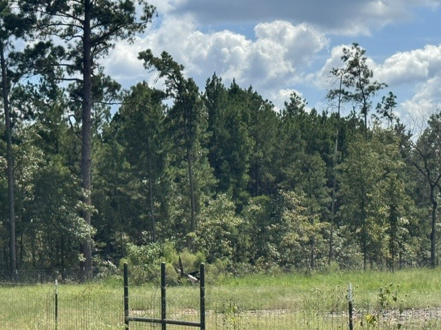 1018 Gibson Lane Property Photo 12