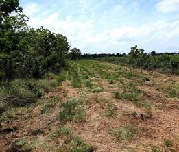 0 Cr-595 Property Photo 3