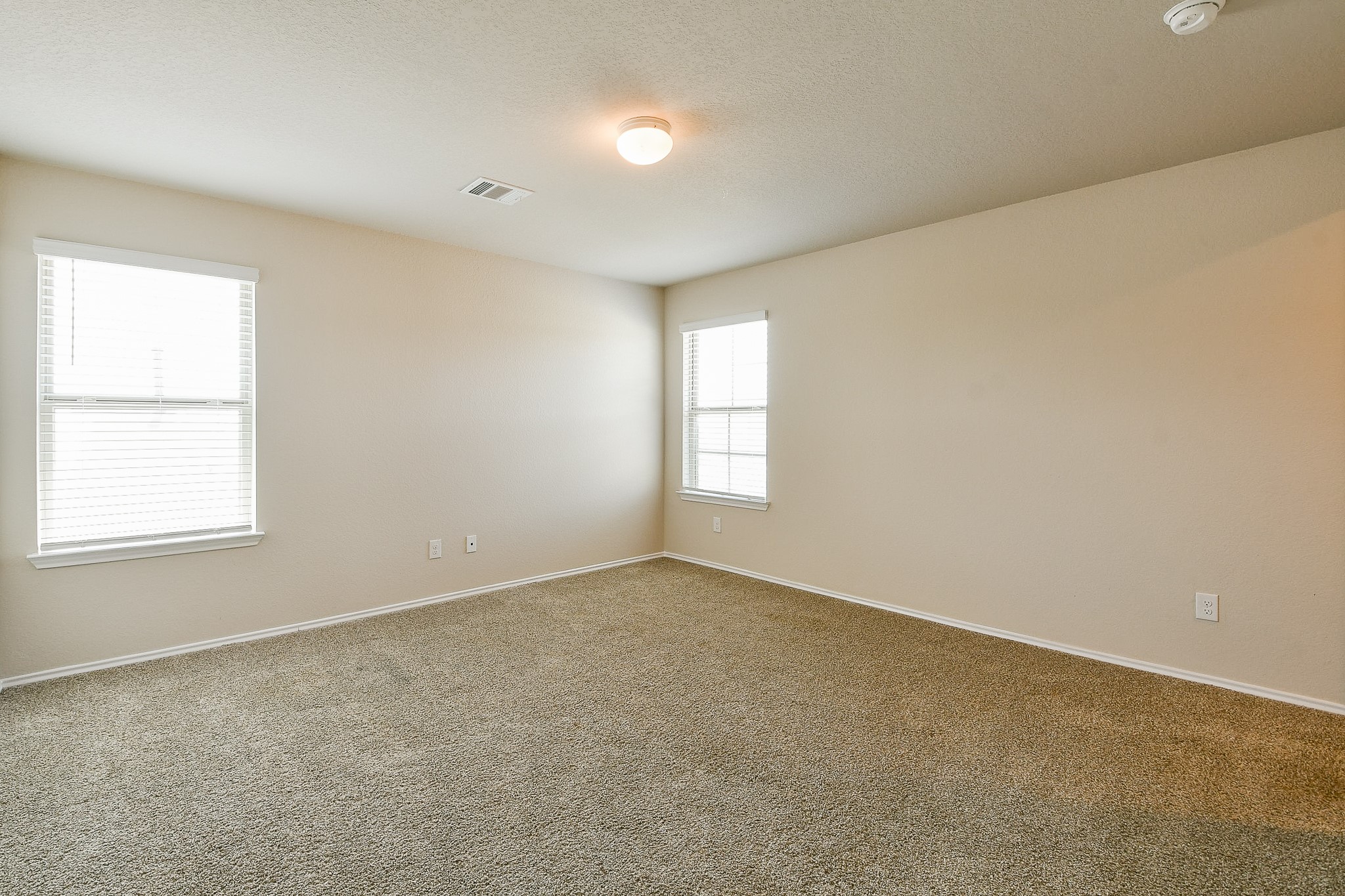 16744 Lonely Pines Drive Property Photo 17