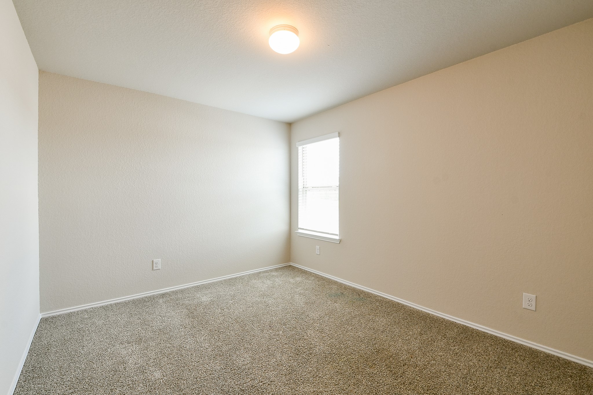 16744 Lonely Pines Drive Property Photo 19