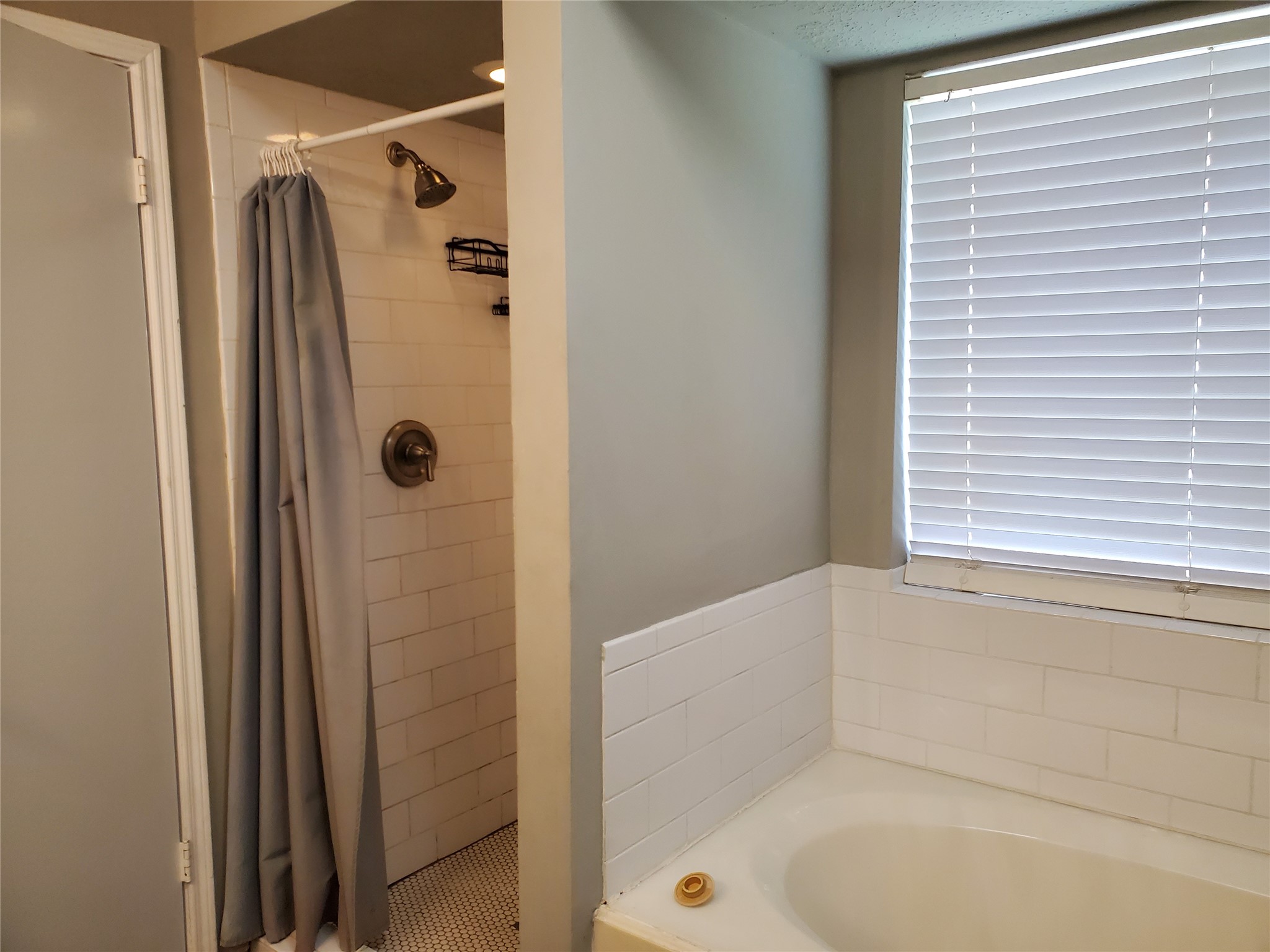 2215 Lady Leslie Lane Property Photo 15