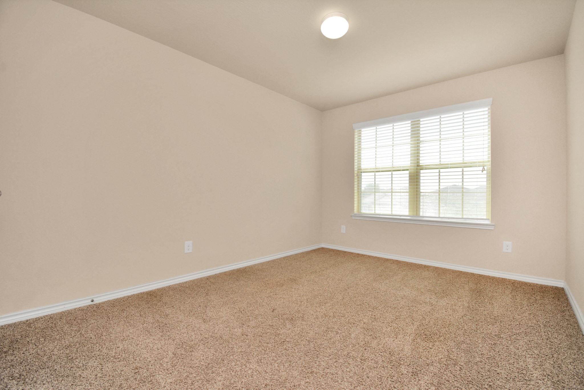 3210 Aldridge Drive Property Photo 29
