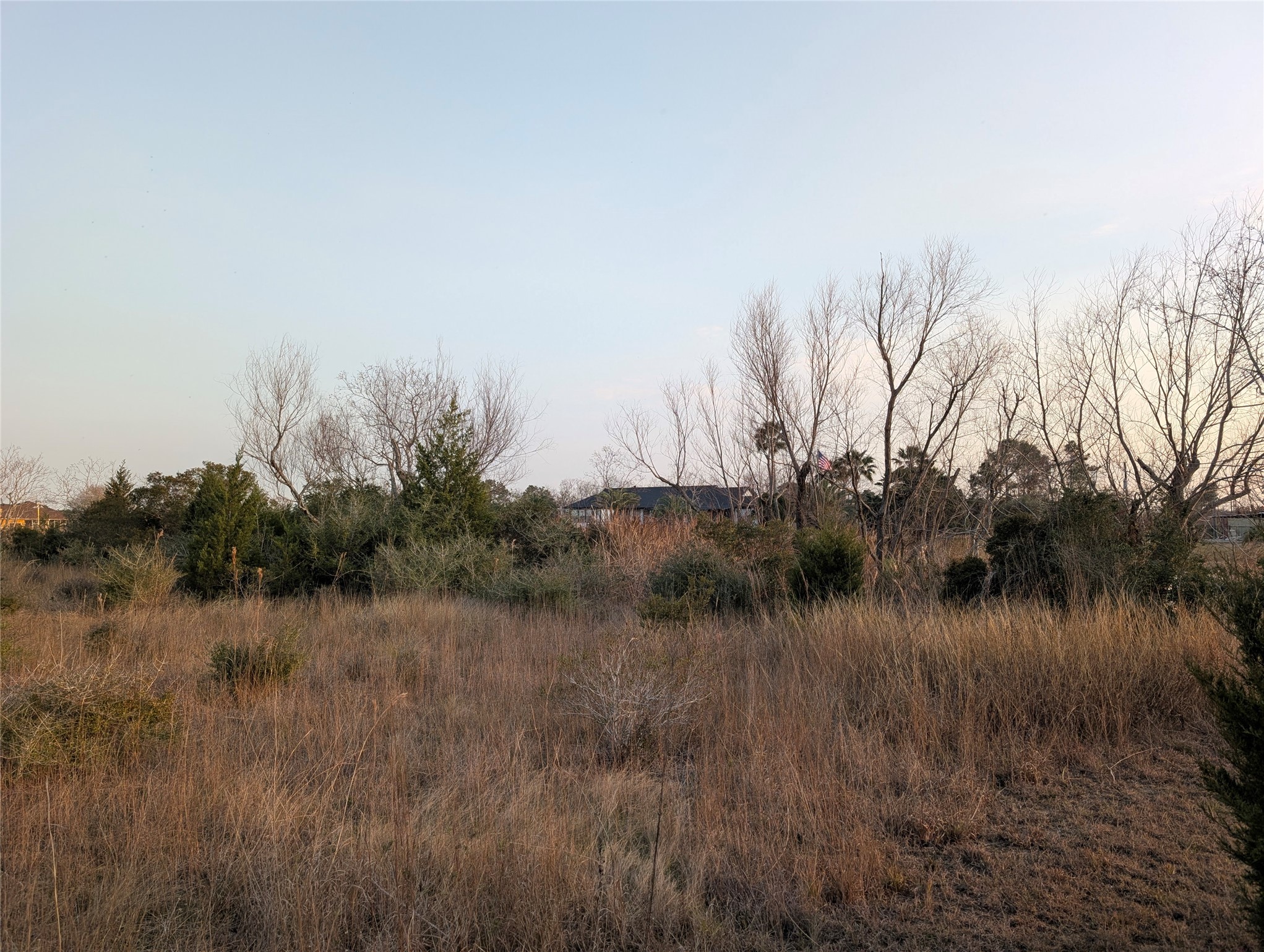 0 Ave D Property Photo 8