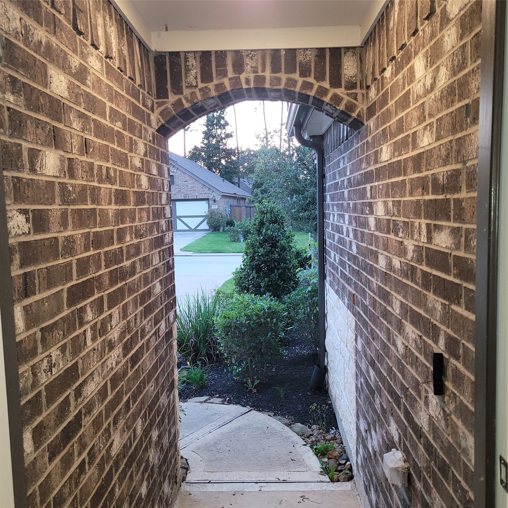 338 Honey Mesquite Path Property Photo 24