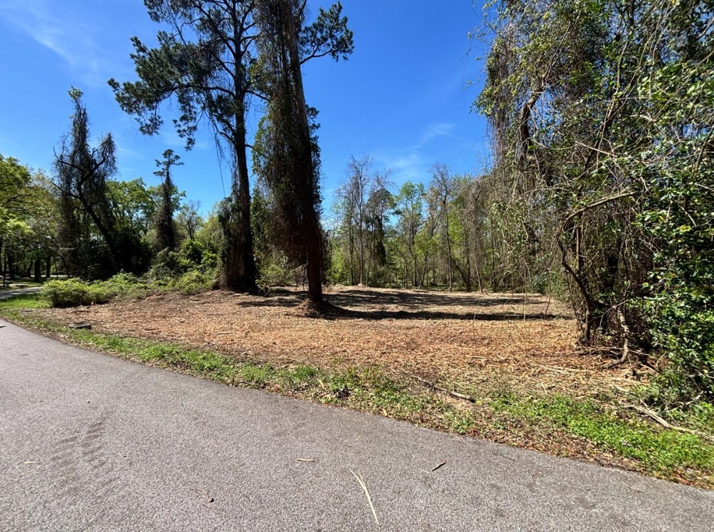 0 Timber Lakes Drive Property Photo 1