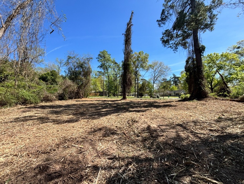 0 Timber Lakes Drive Property Photo 2