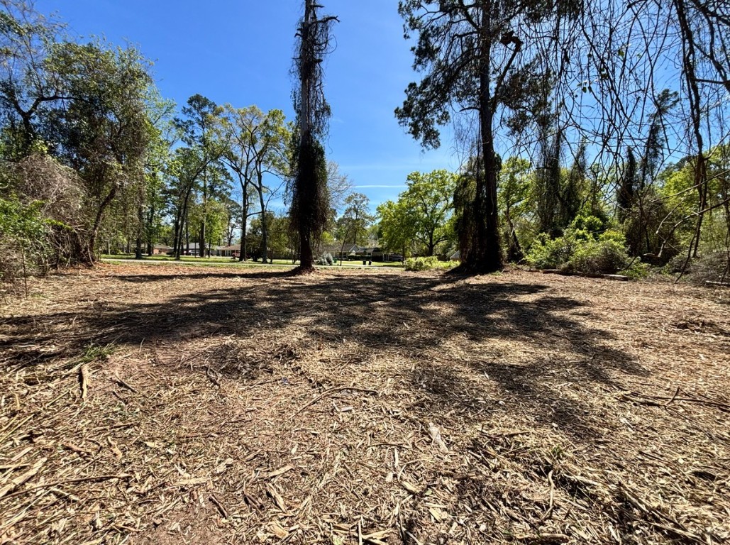 0 Timber Lakes Drive Property Photo 3